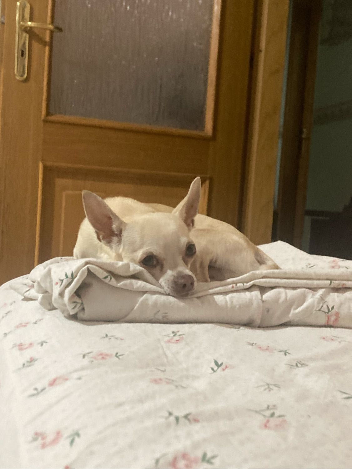 image-7