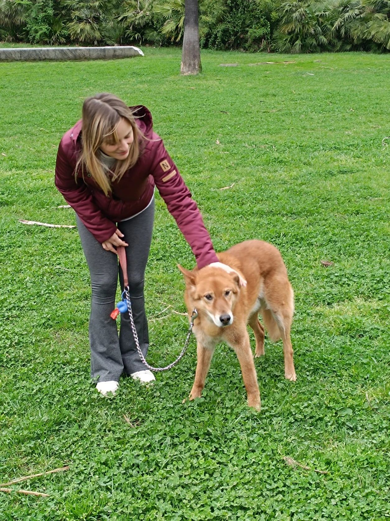 image-10