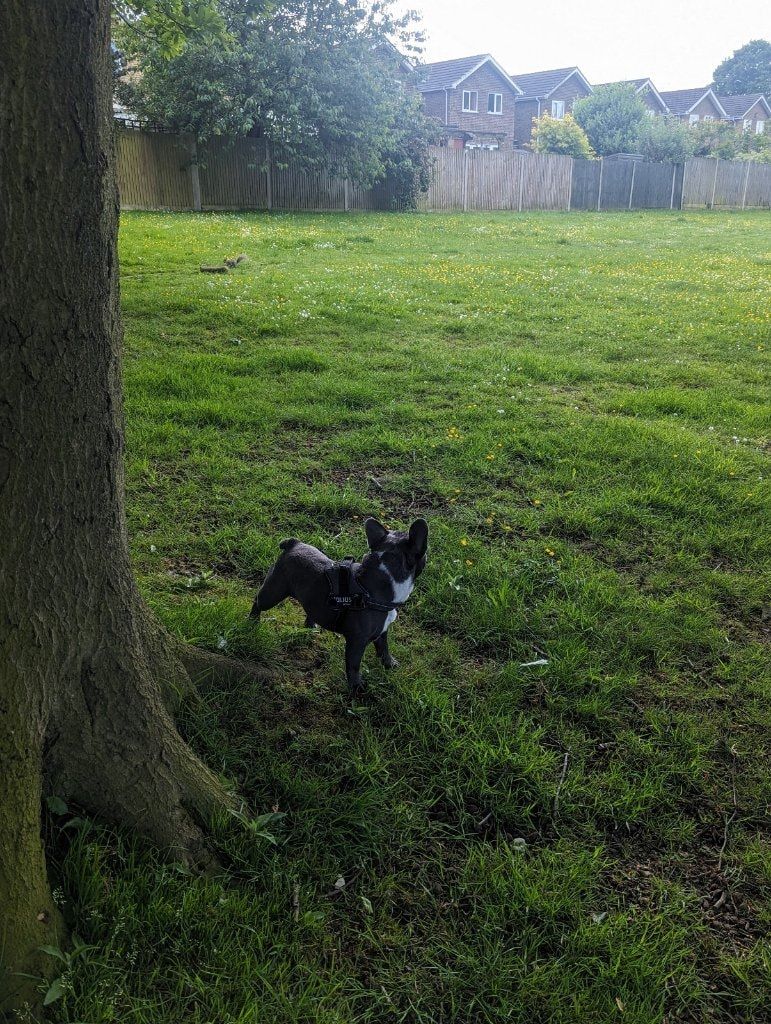image-4