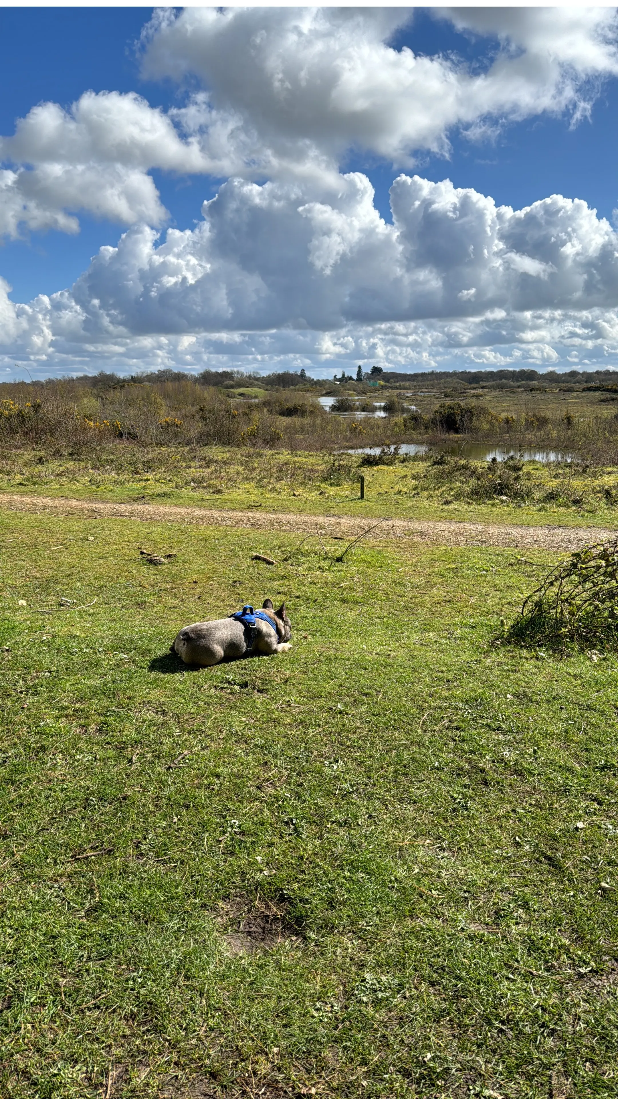 image-2