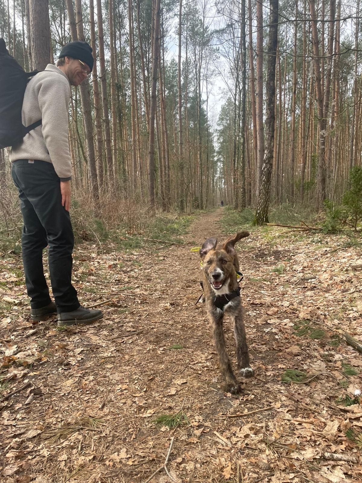 image-8