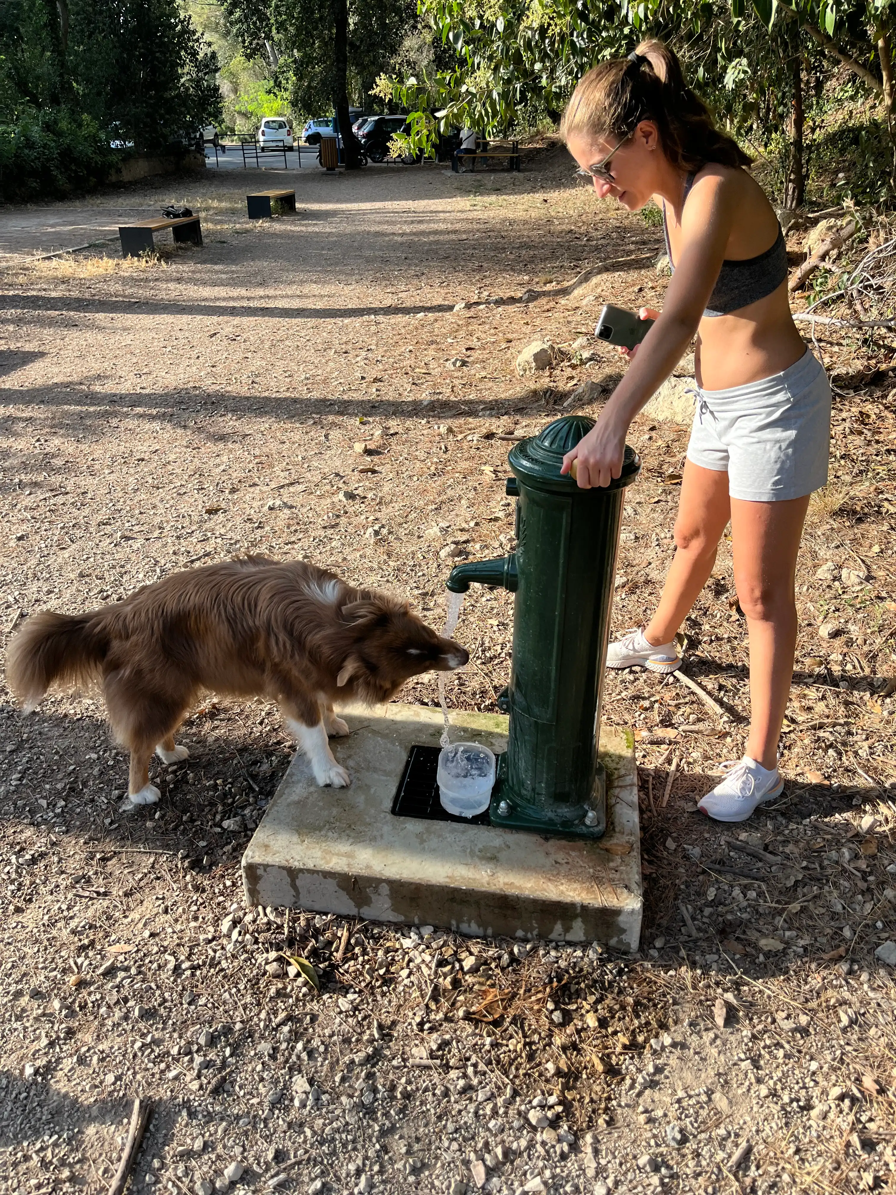 image-11