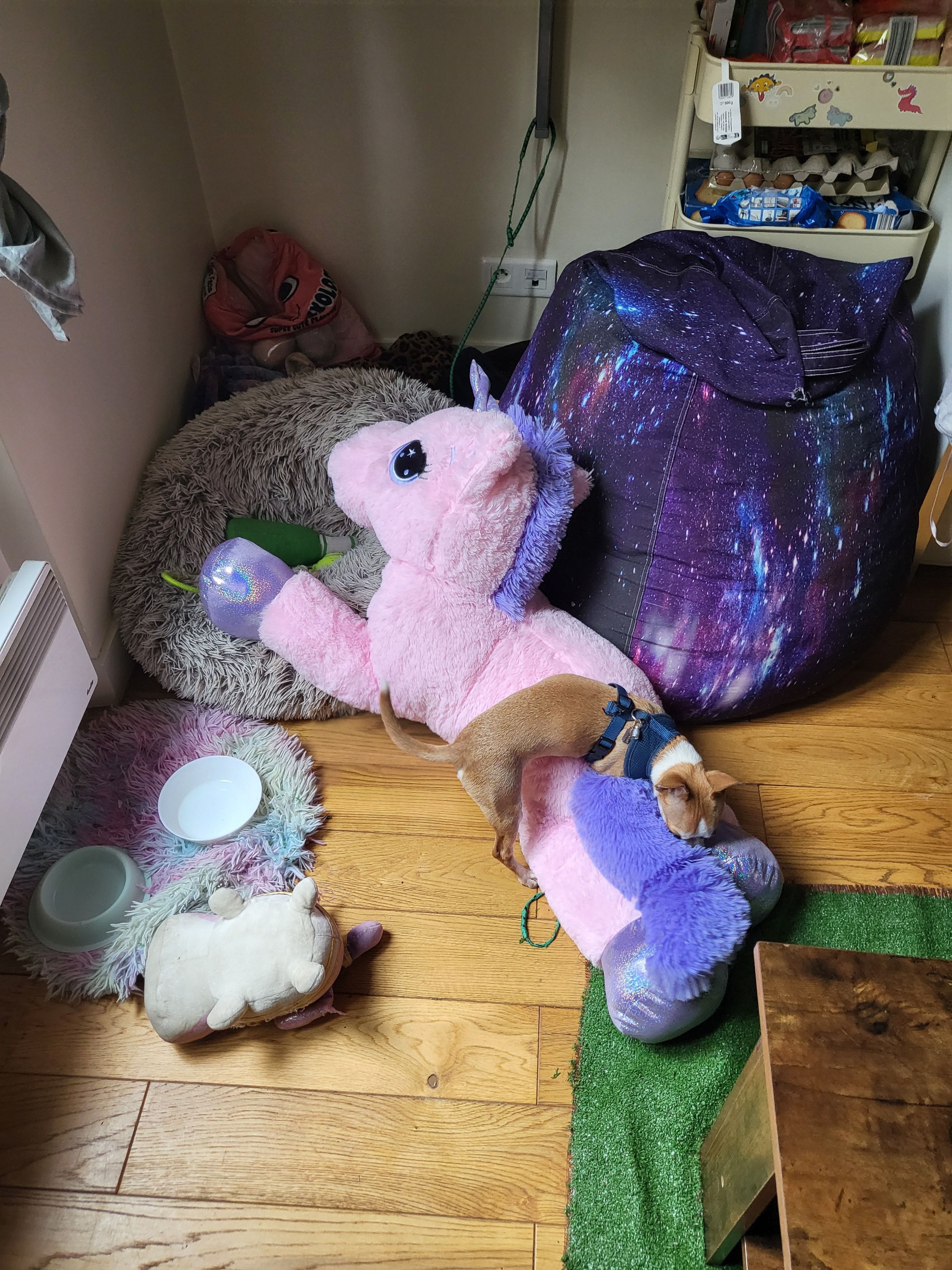 image-8