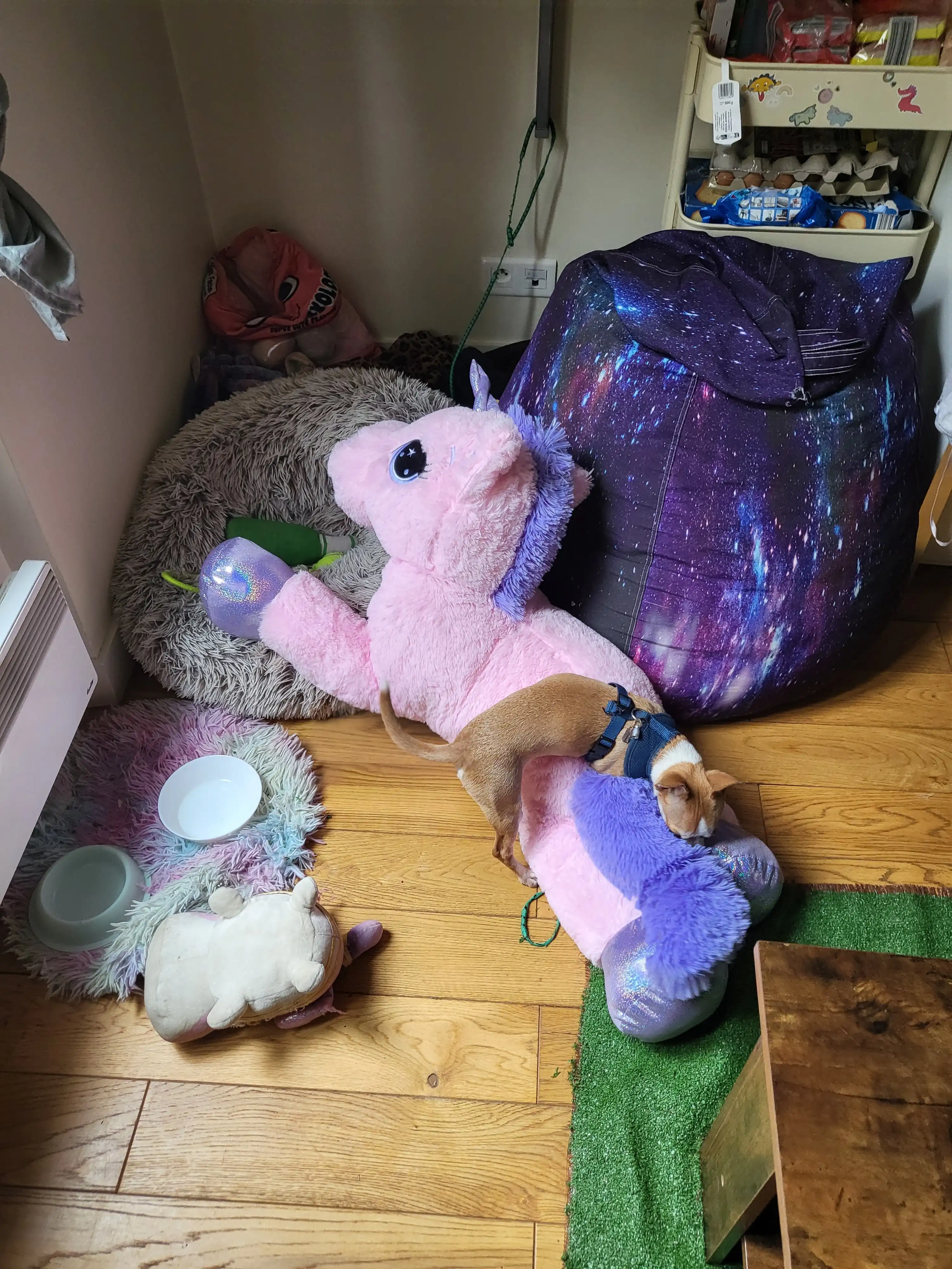 image-8
