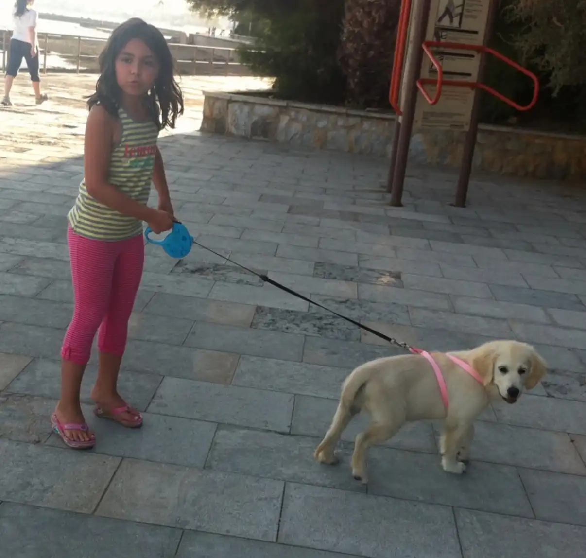 image-6