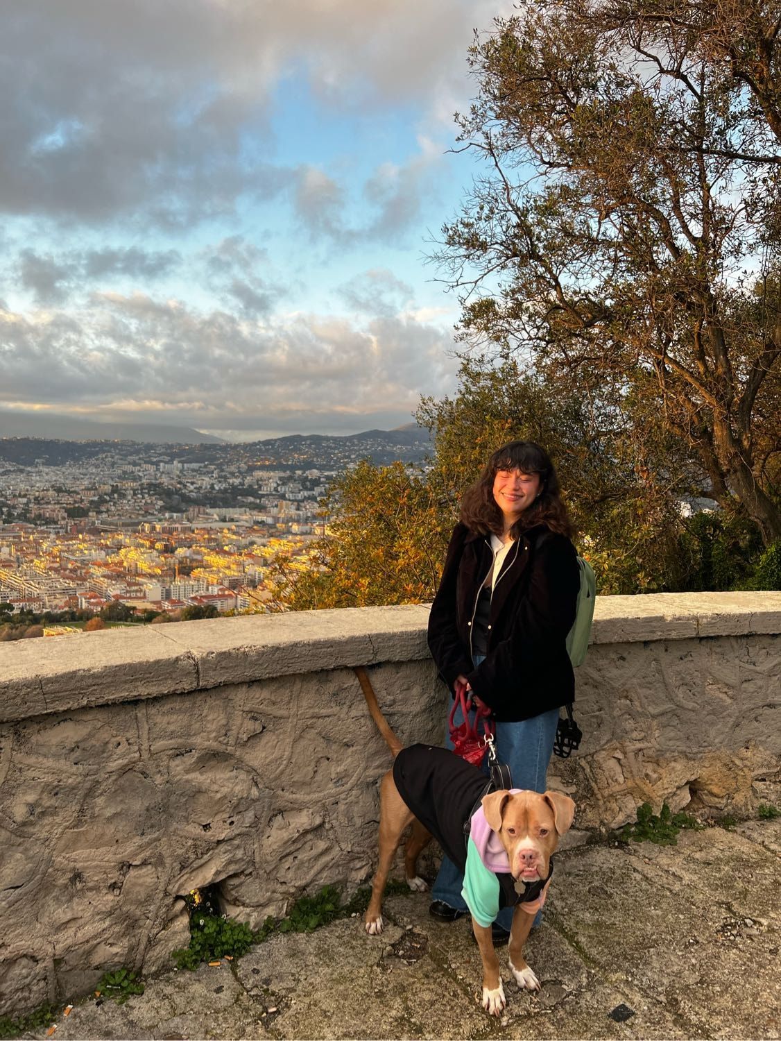 image-7