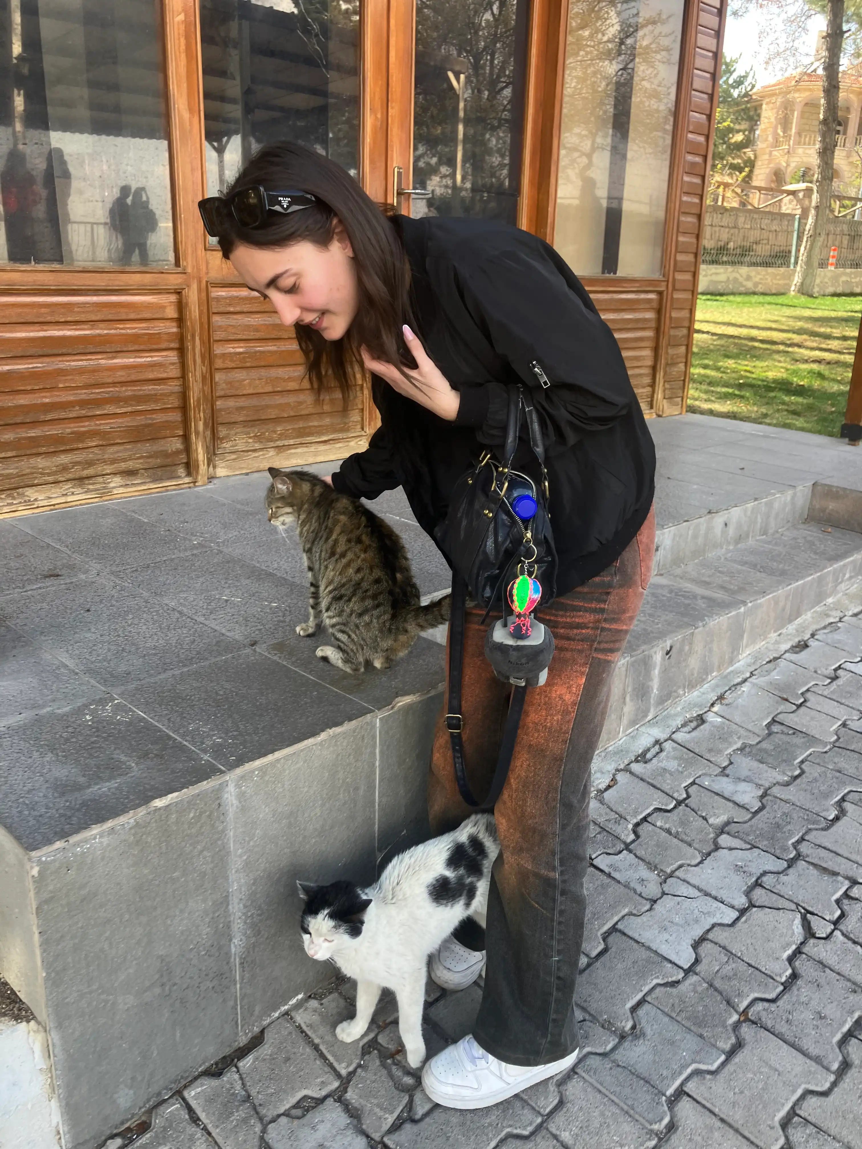 image-11