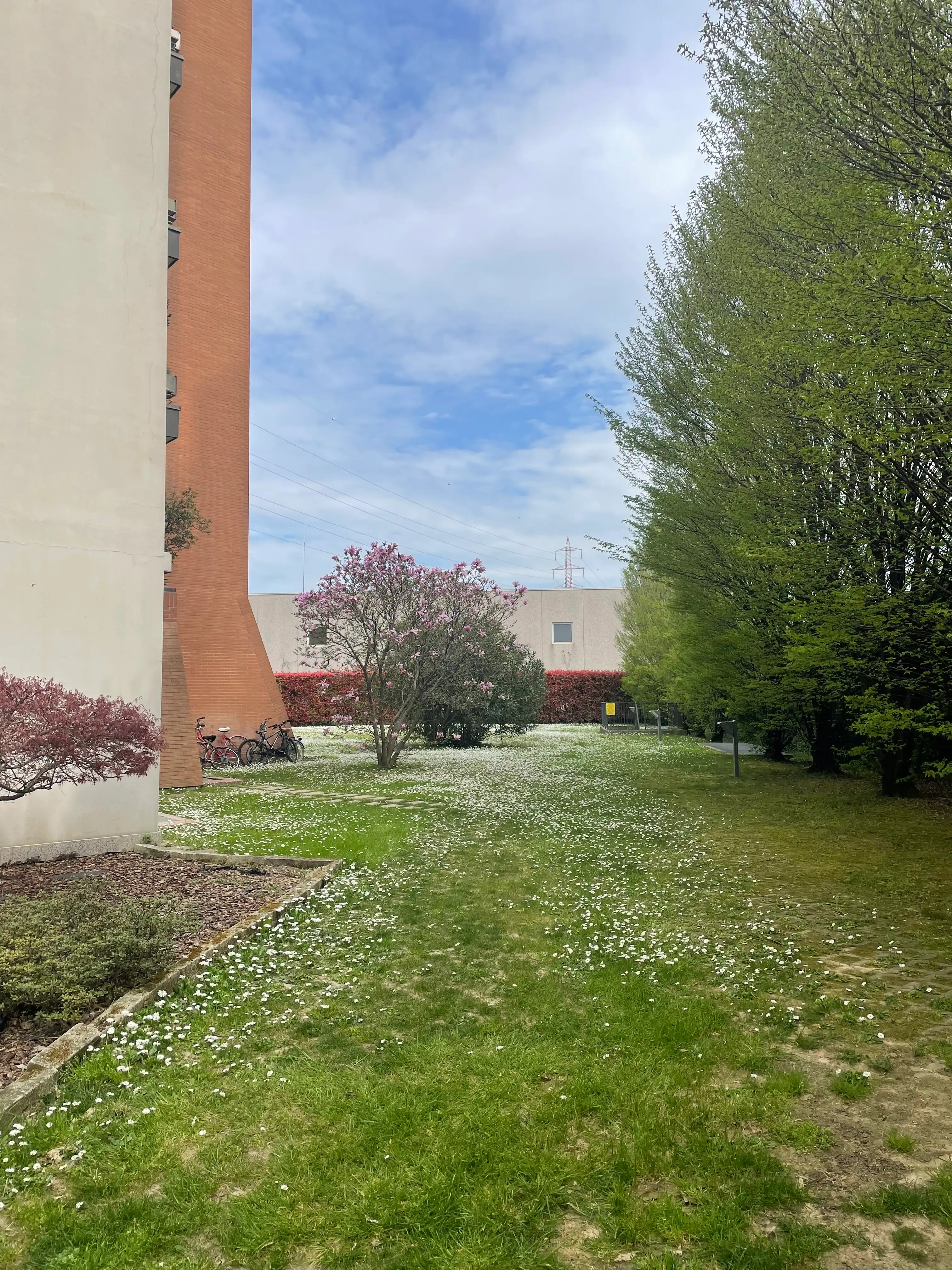 image-17