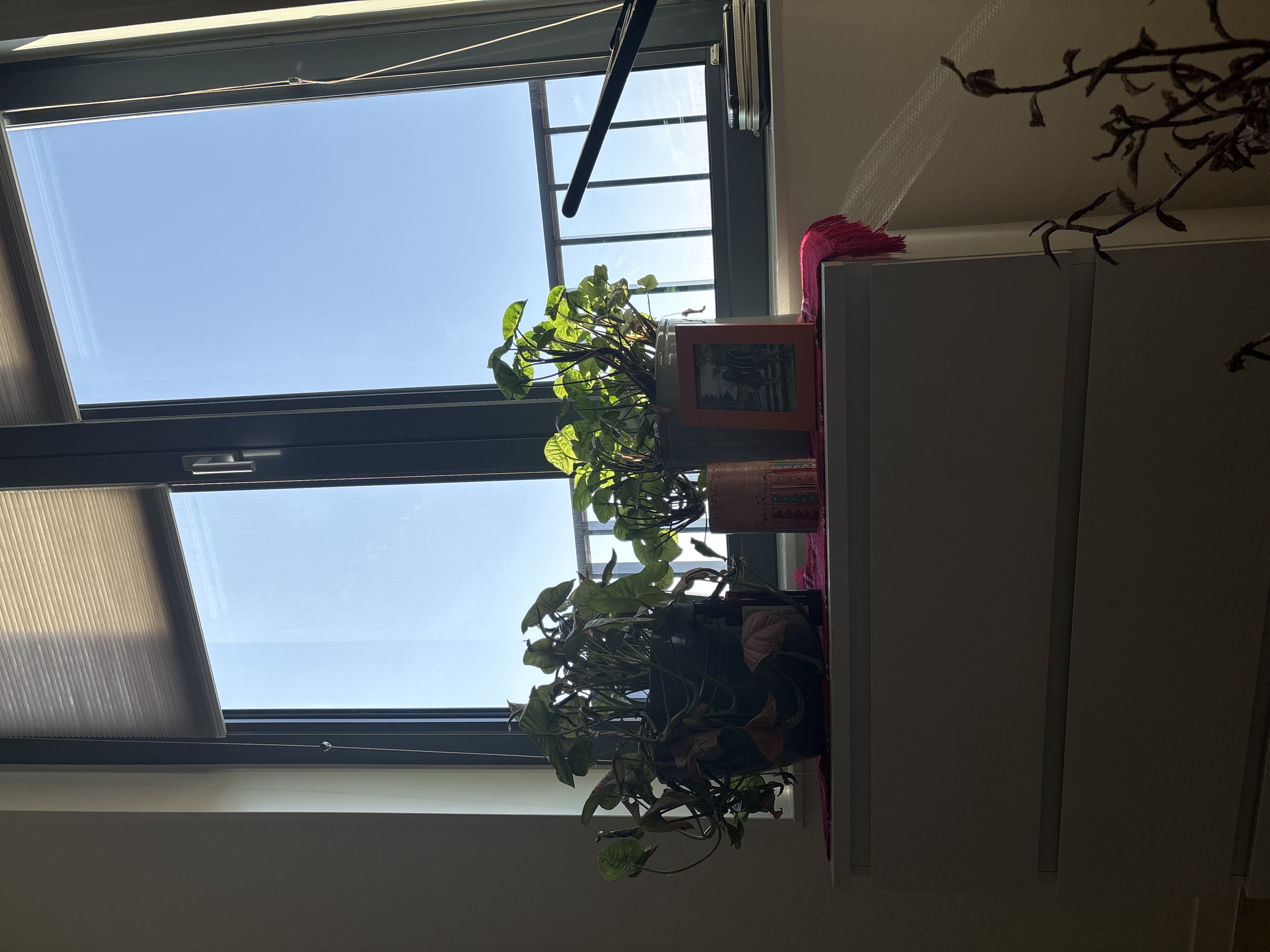 image-7