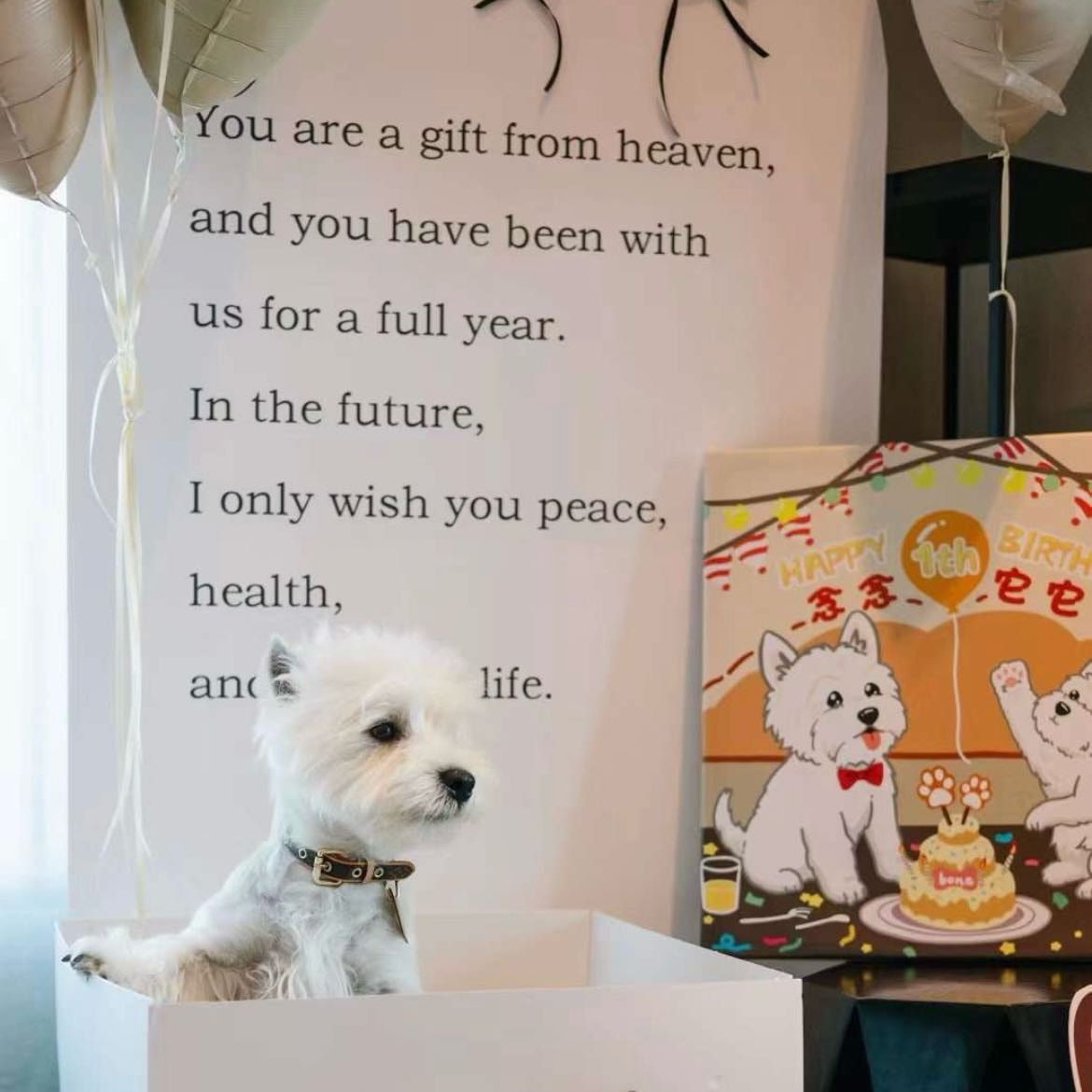 image-81