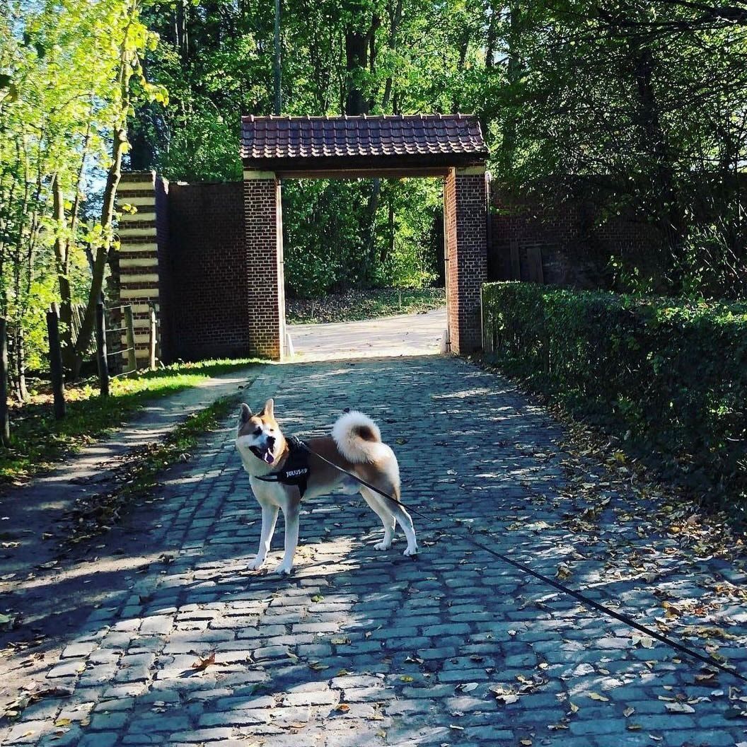 image-15