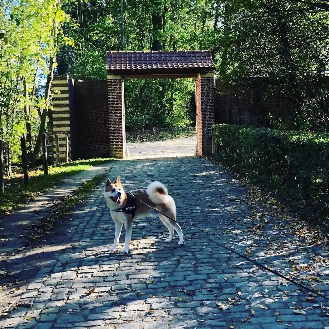image-15