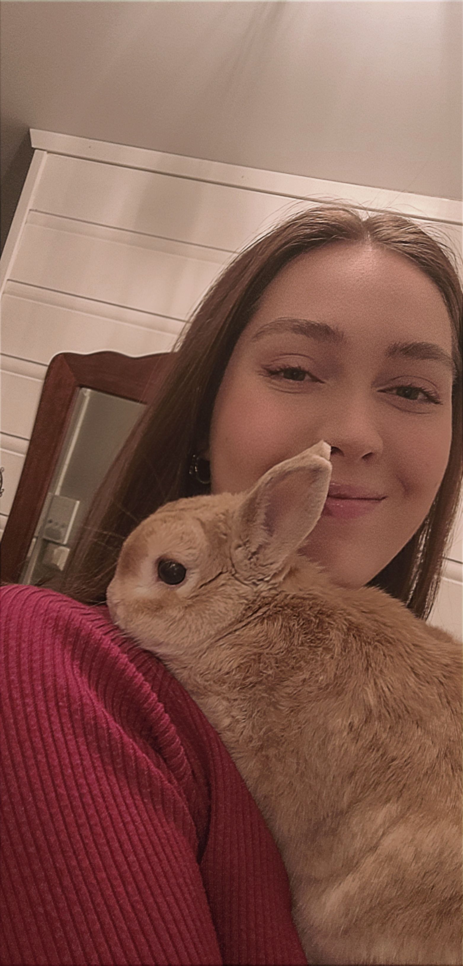 image-8