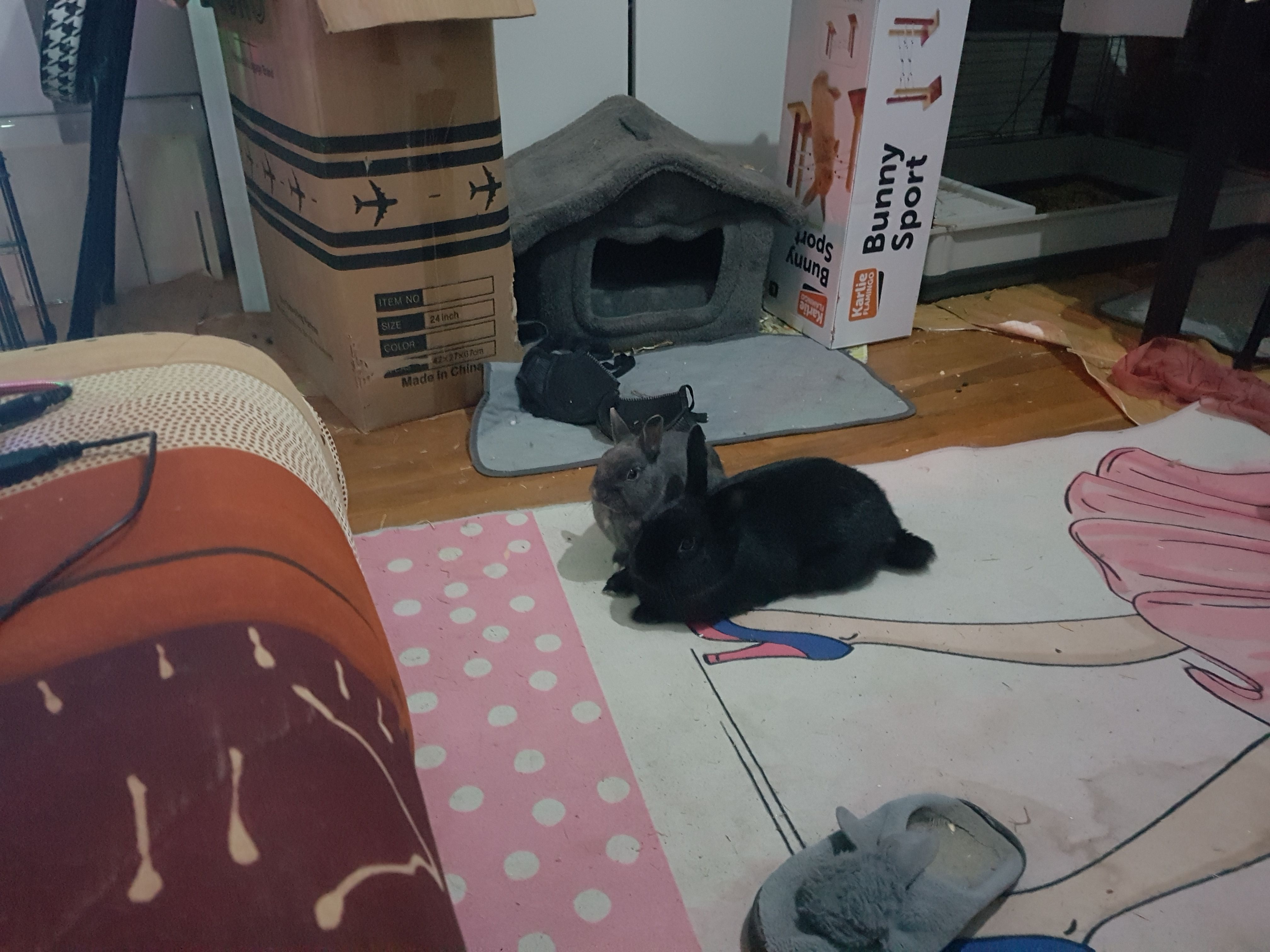 image-8