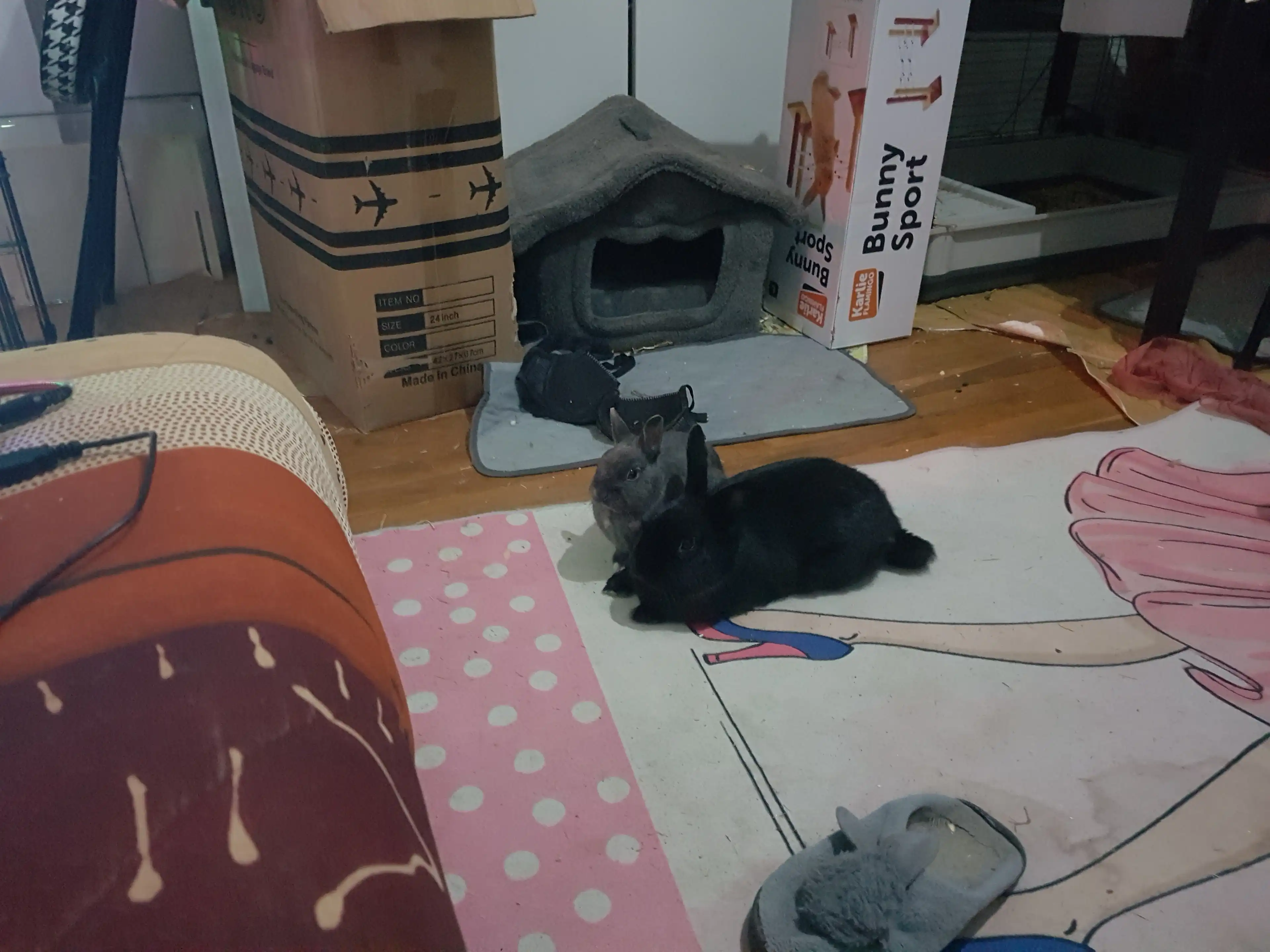 image-8