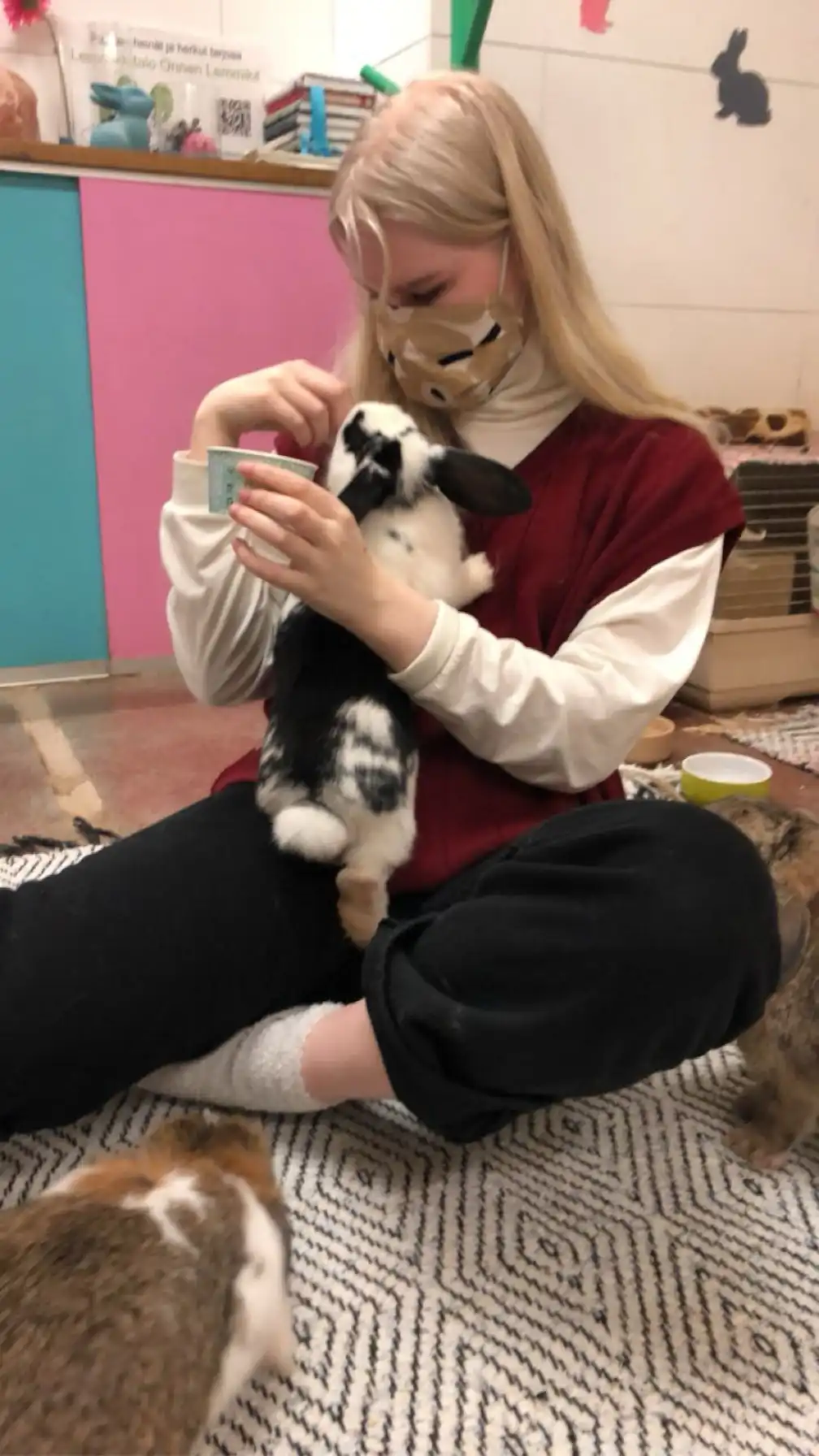 image-8