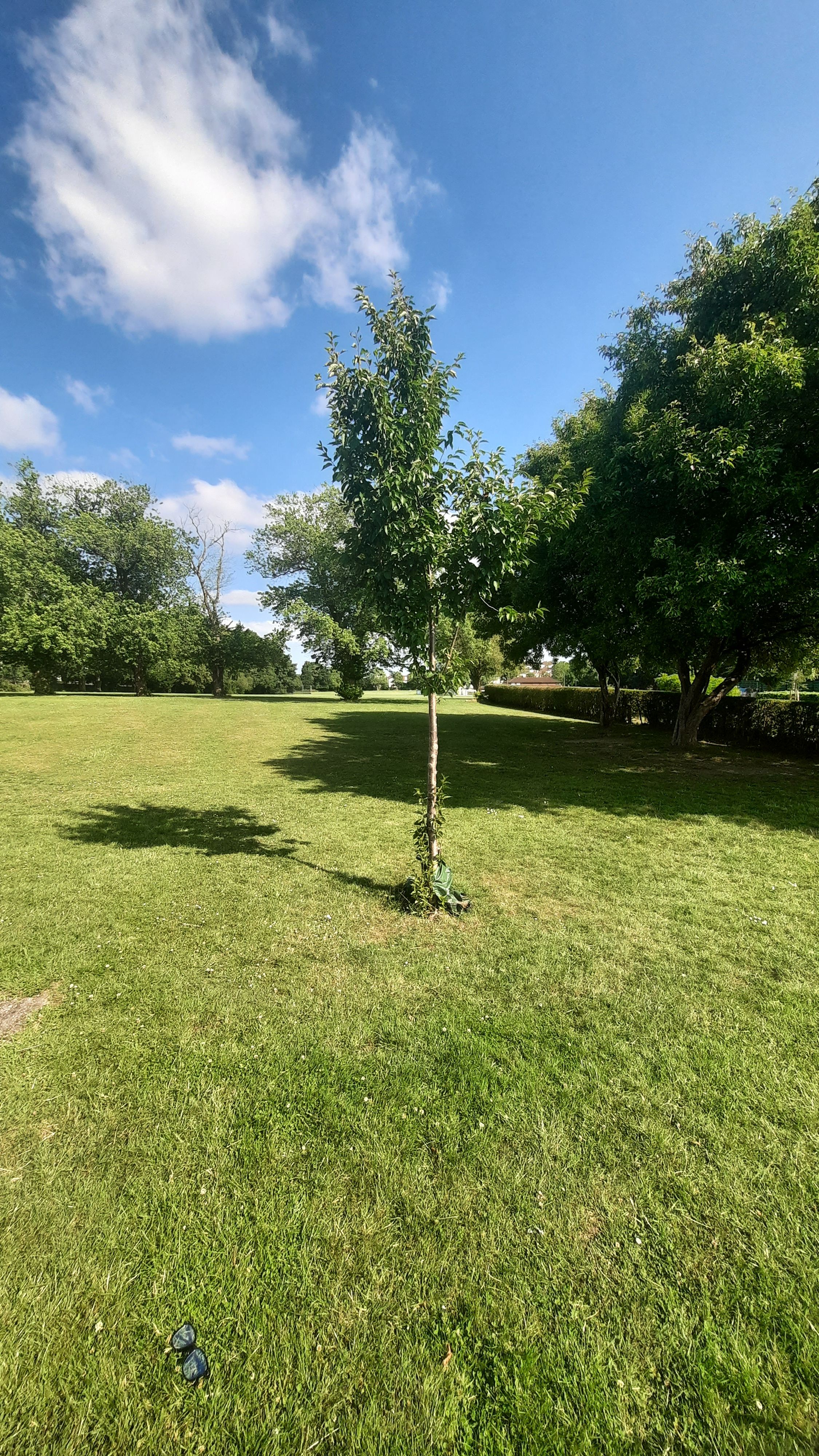 image-15