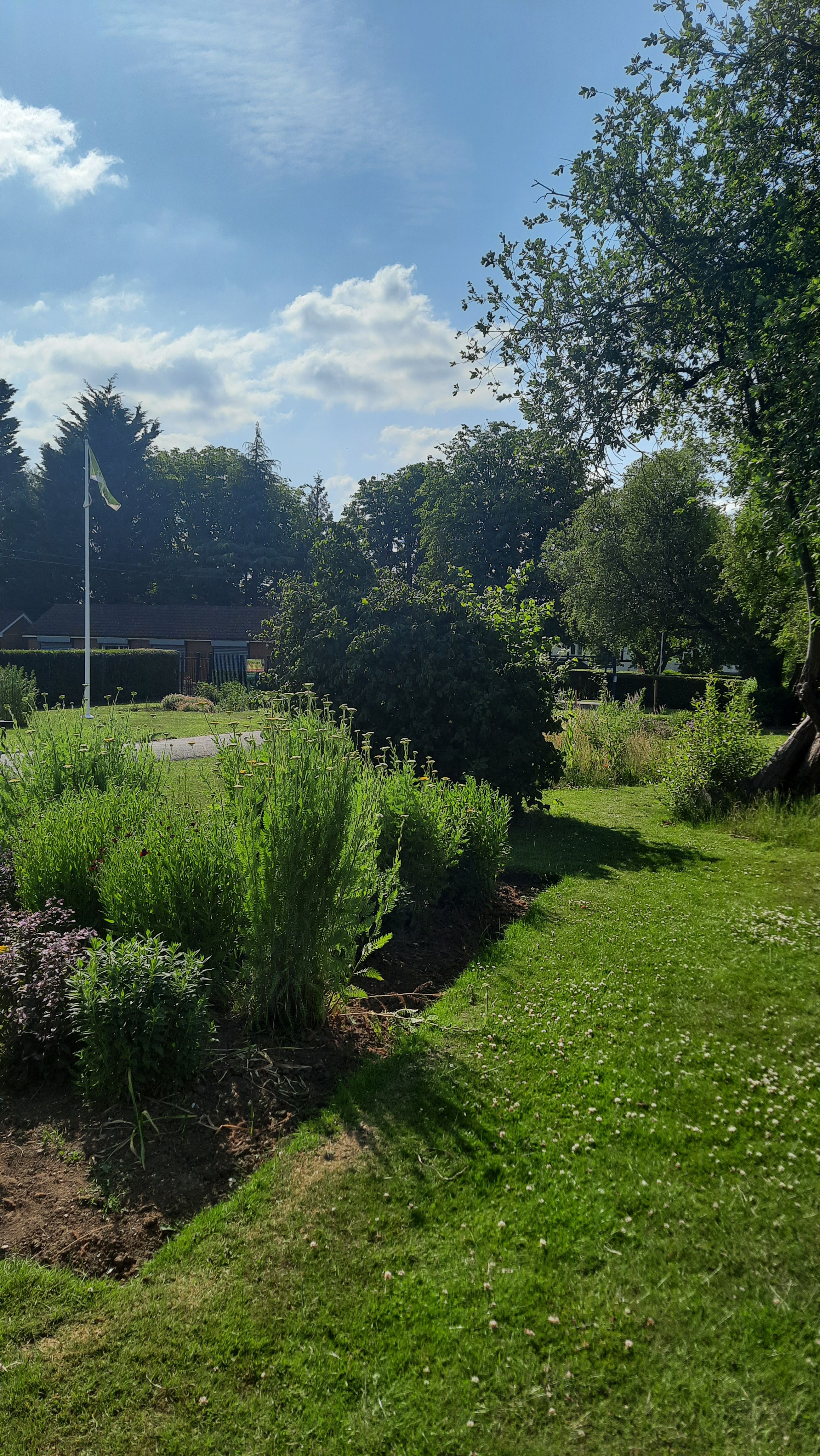 image-14