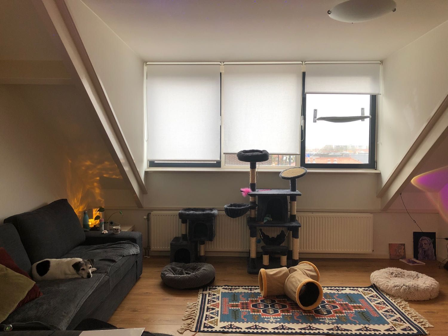 image-12