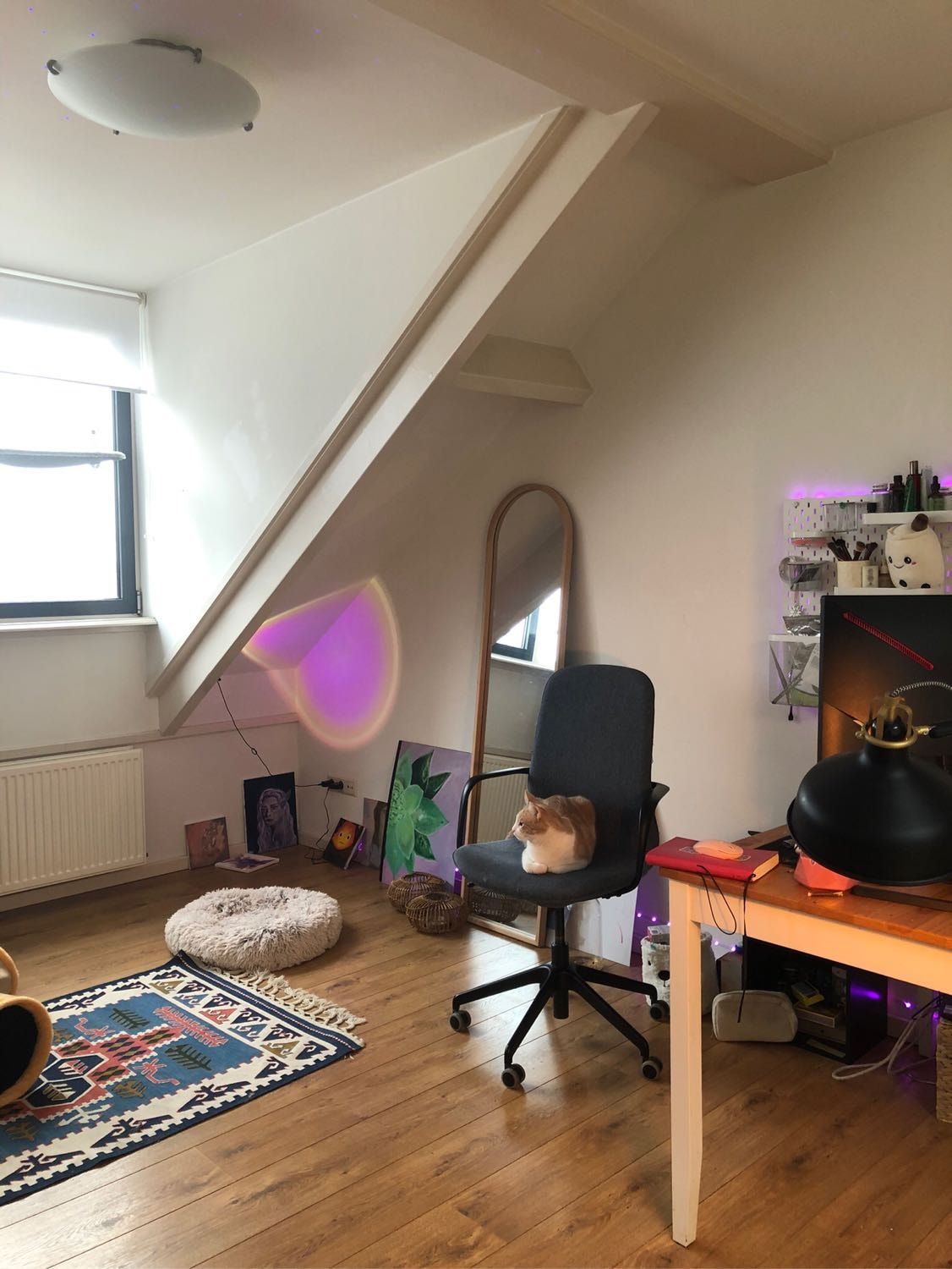 image-11