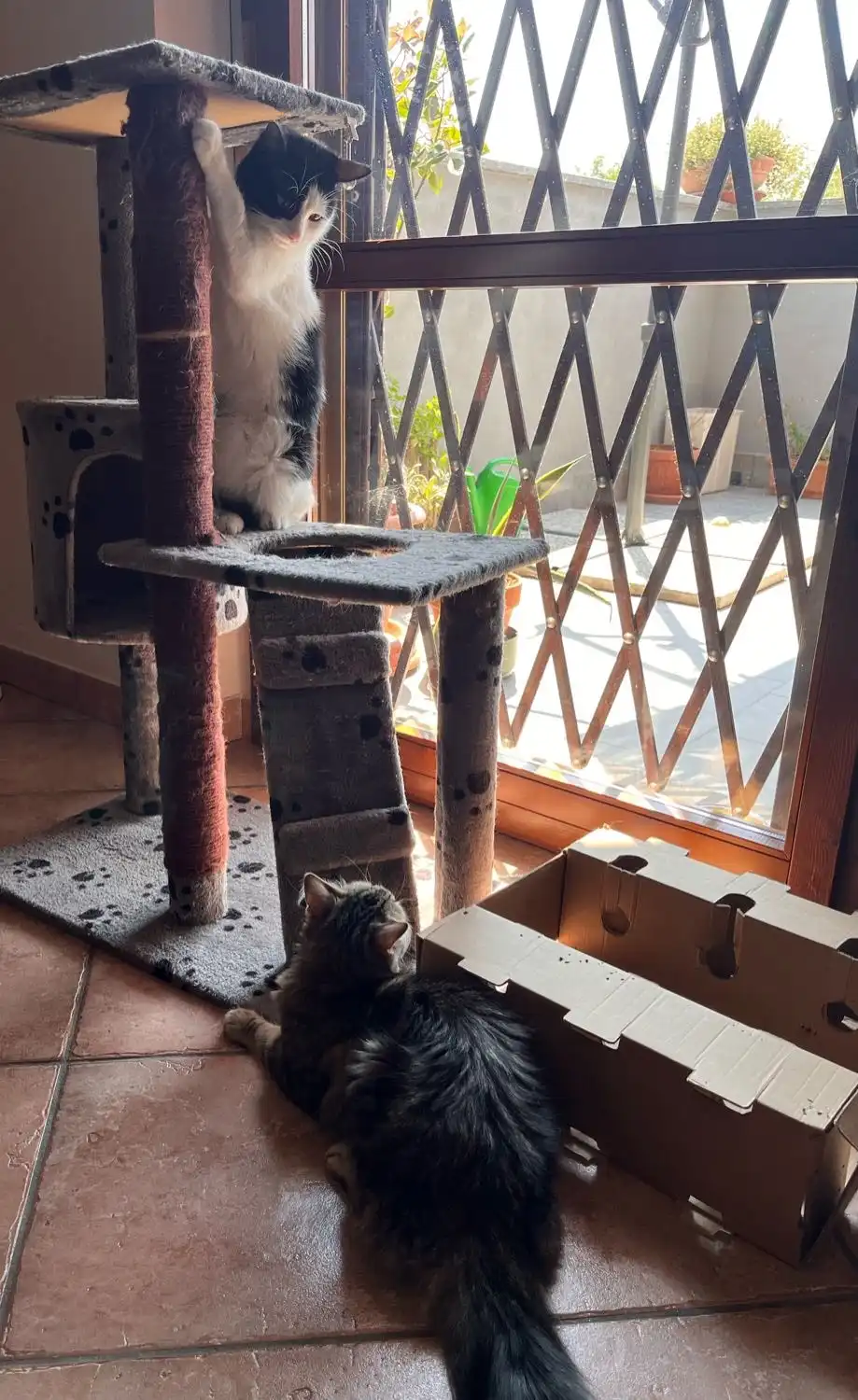 image-12