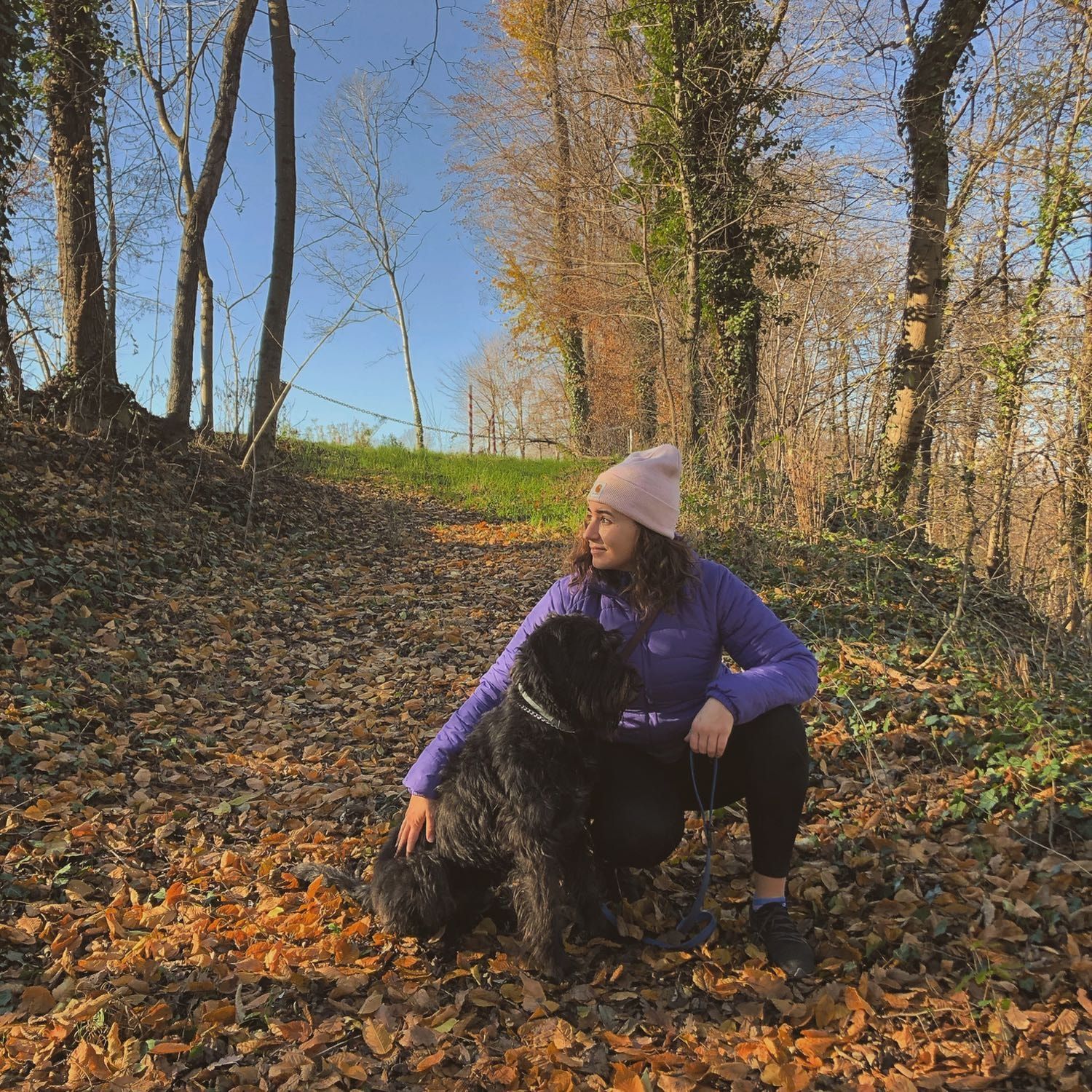 image-2