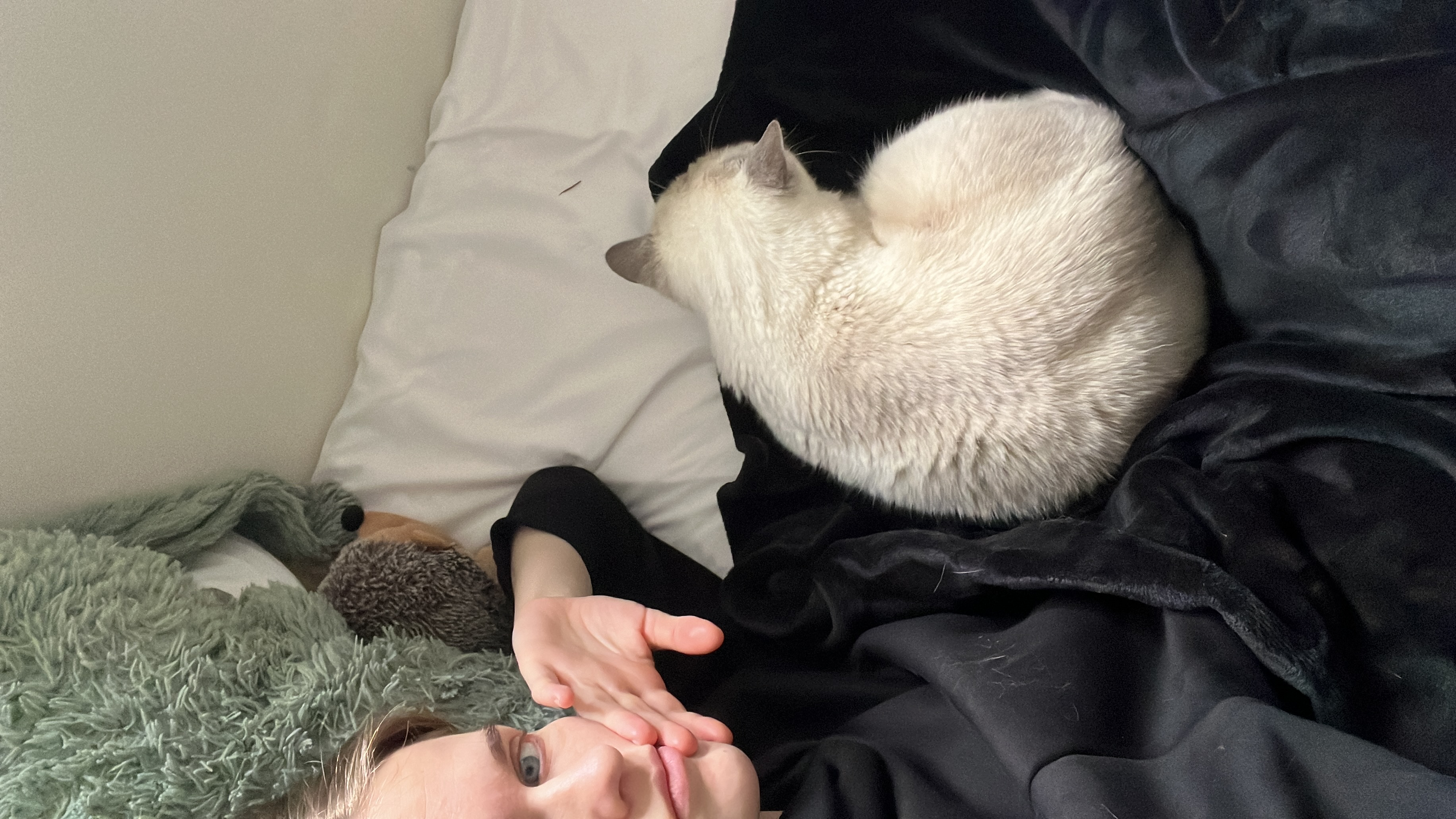 image-11