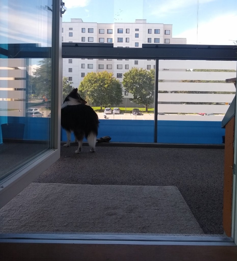 image-13