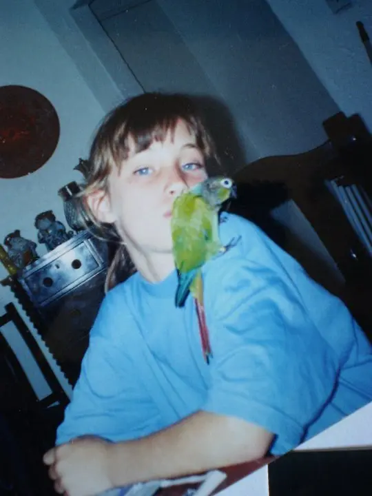 image-2