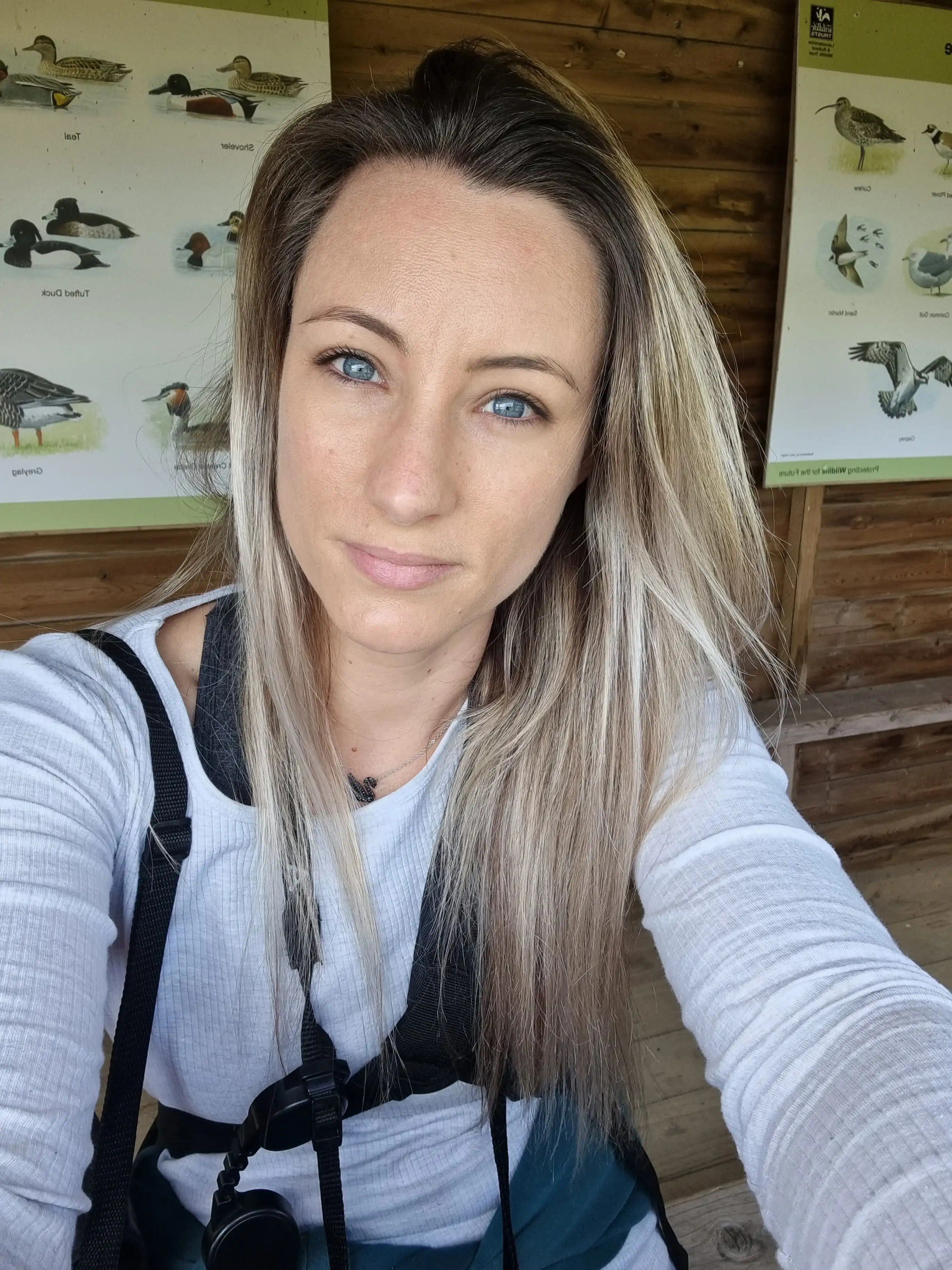 image-16