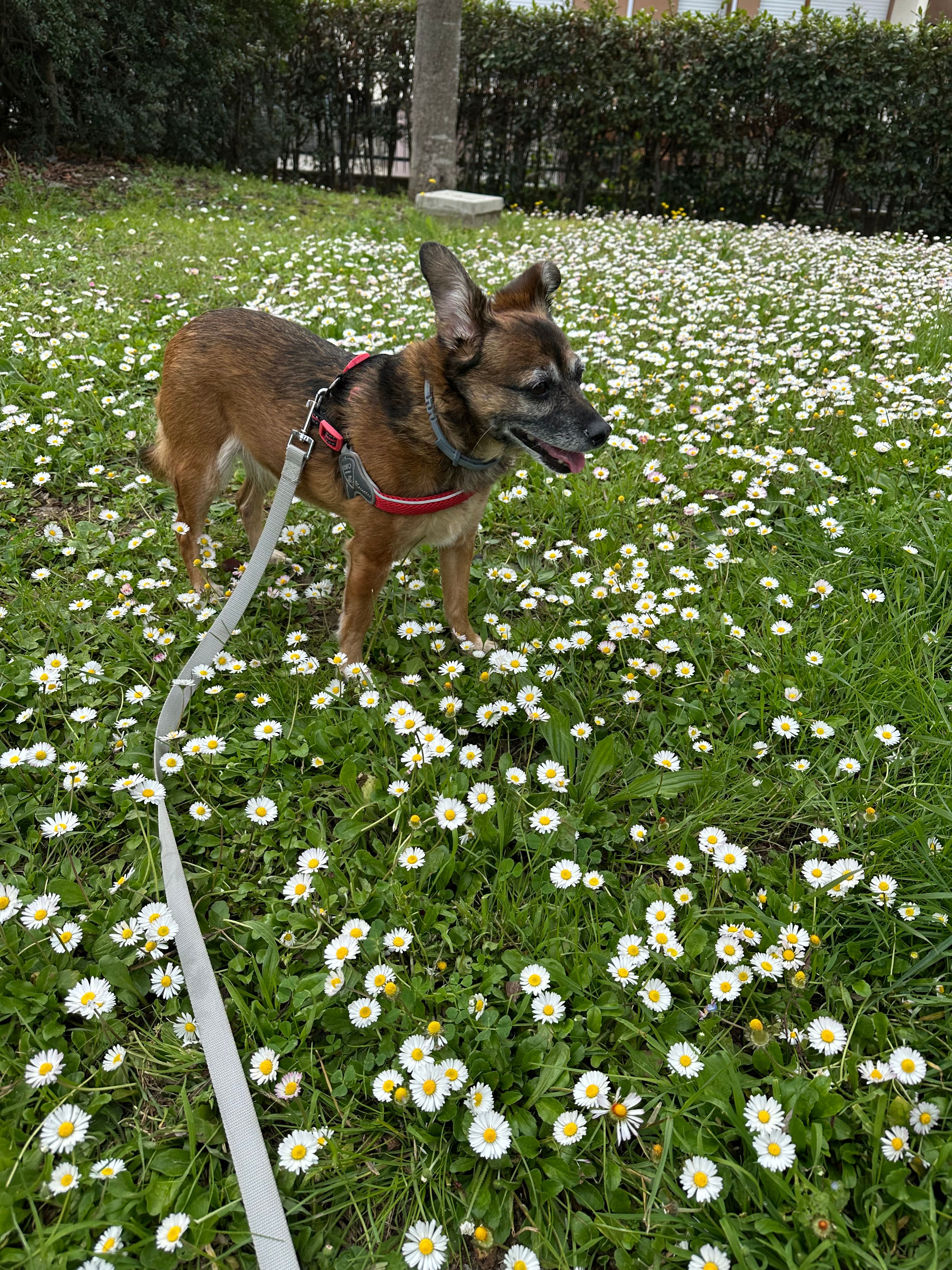 image-14