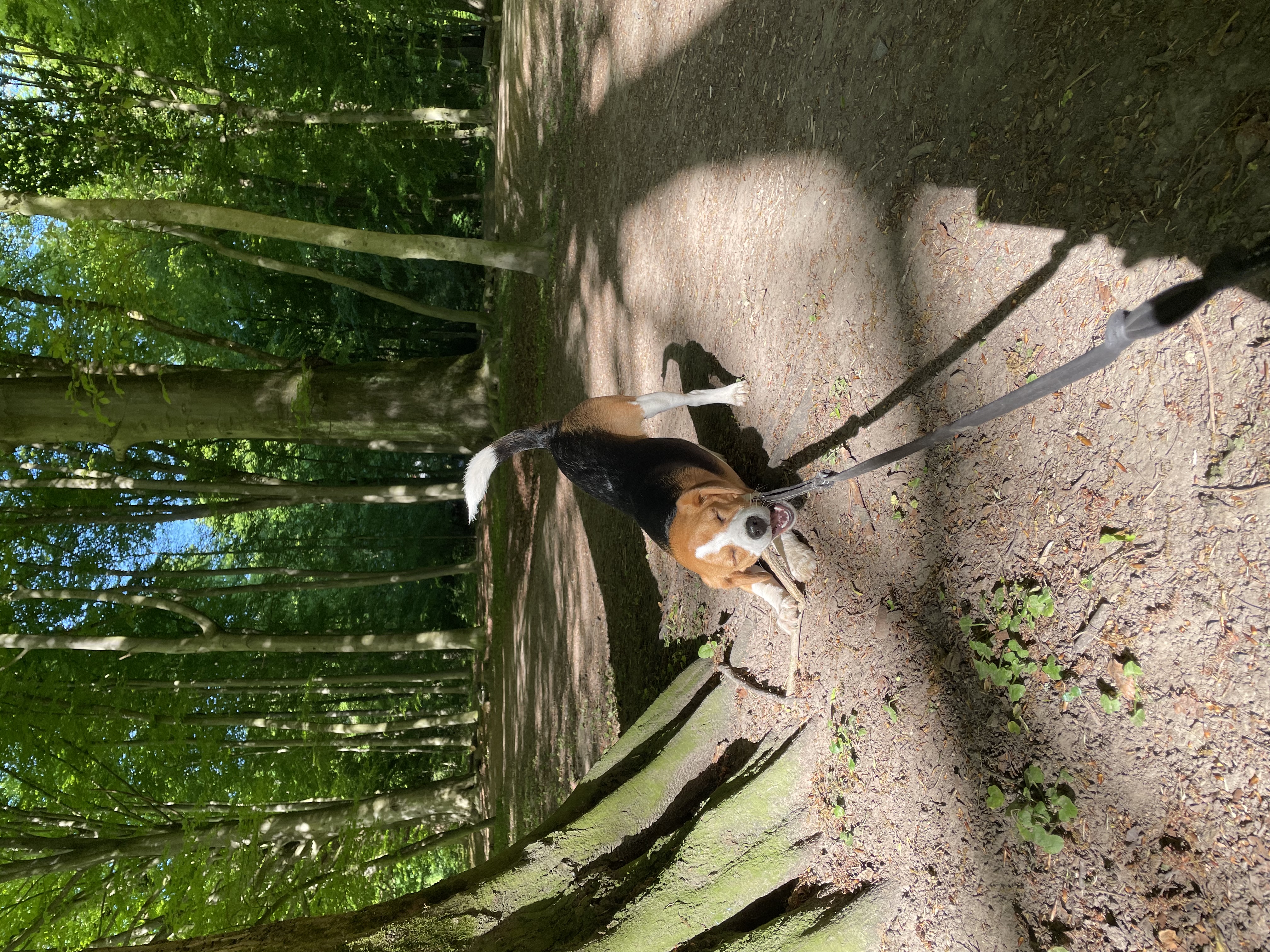 image-6