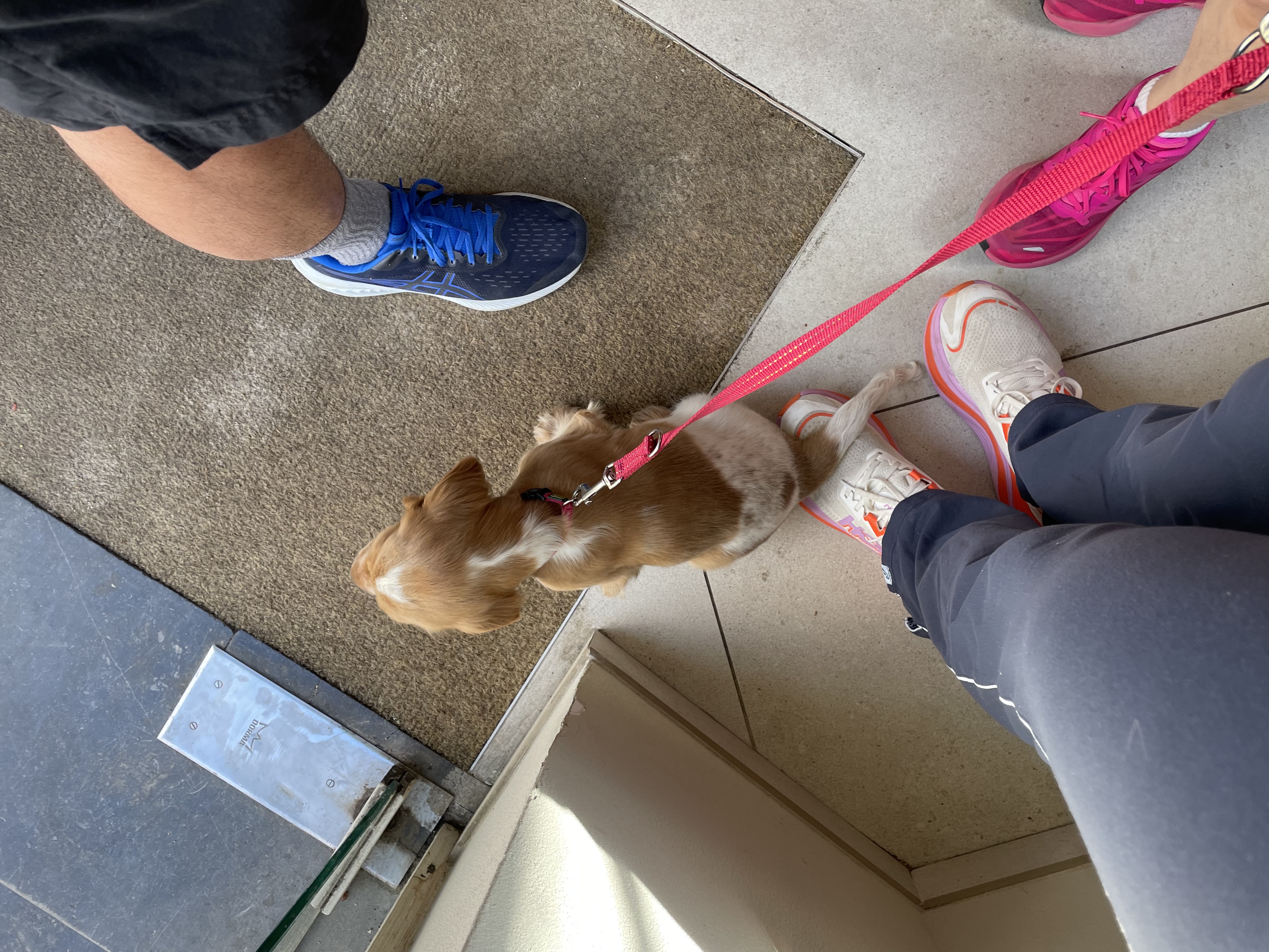 image-7