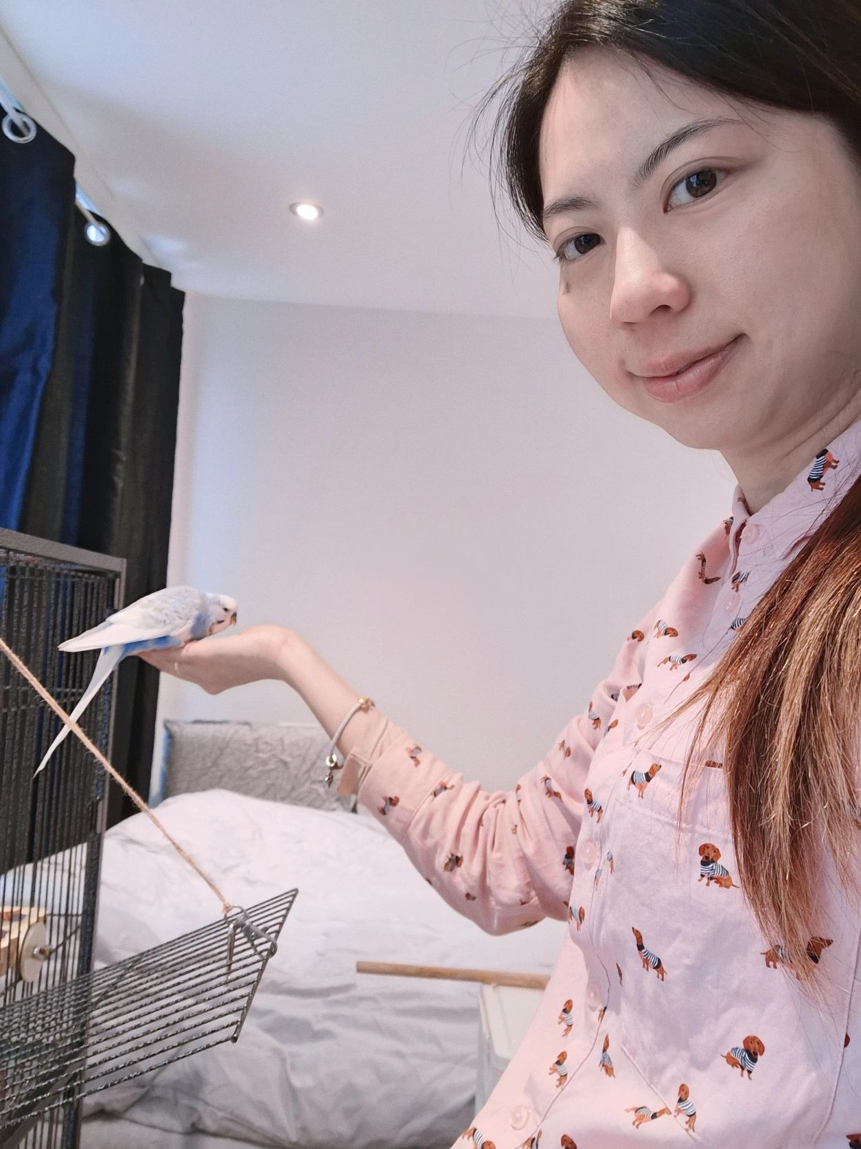 image-12