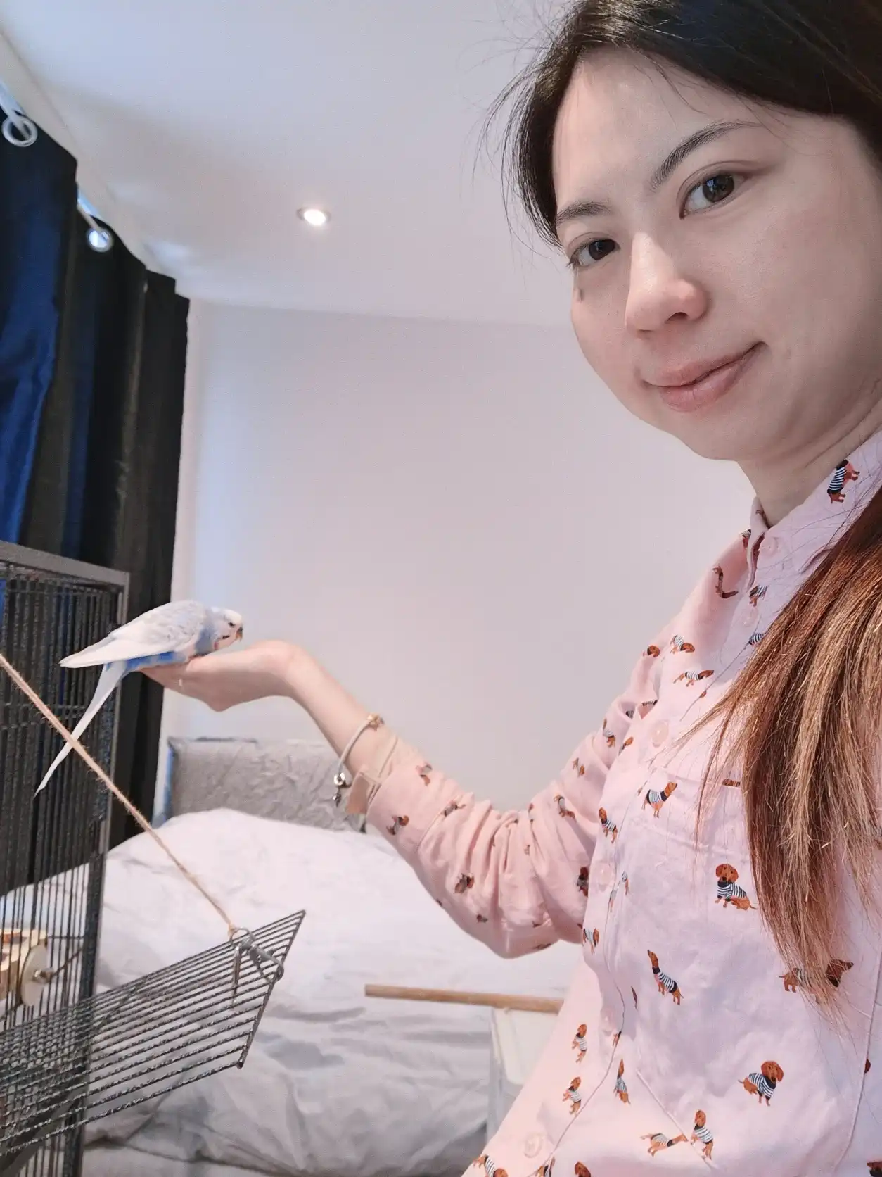 image-12