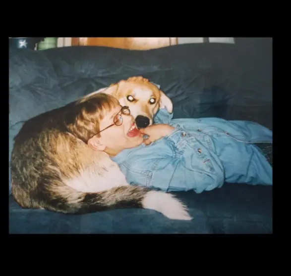 image-2