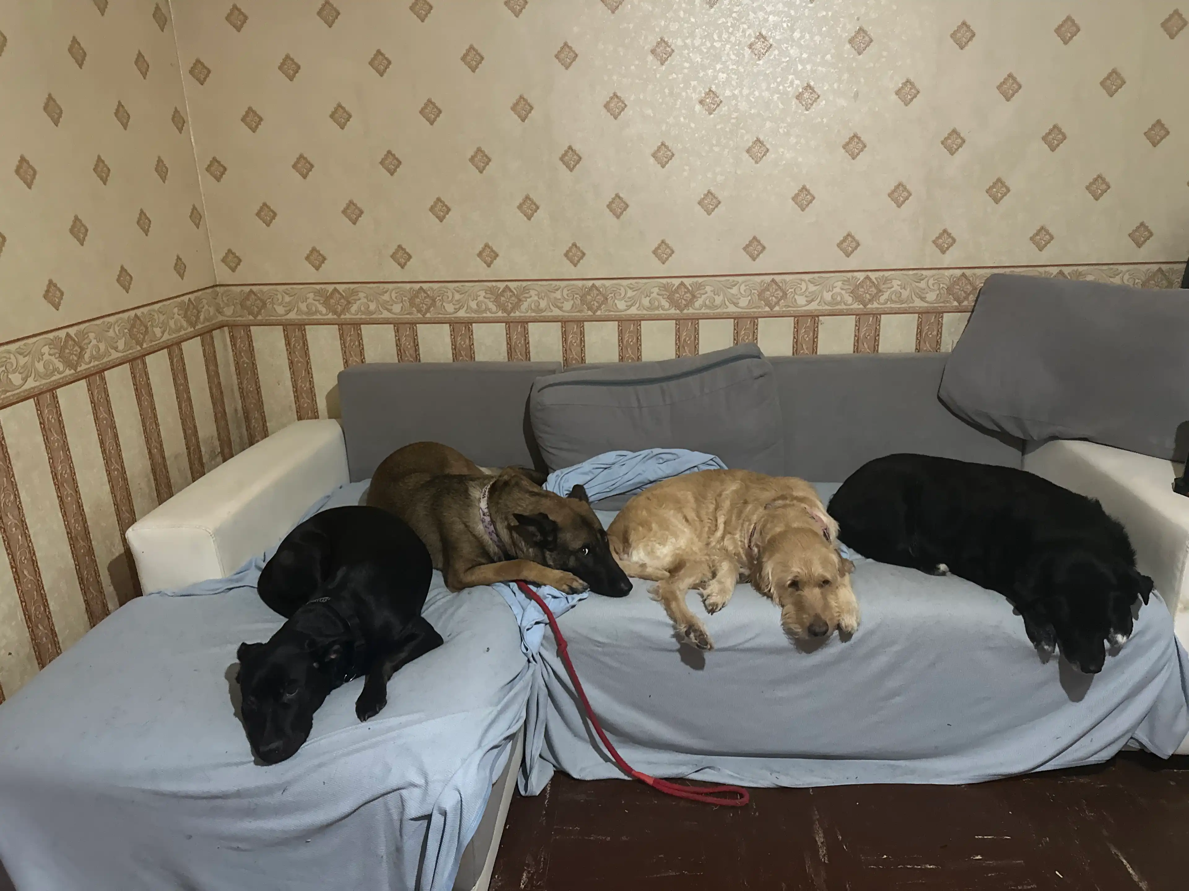 image-27