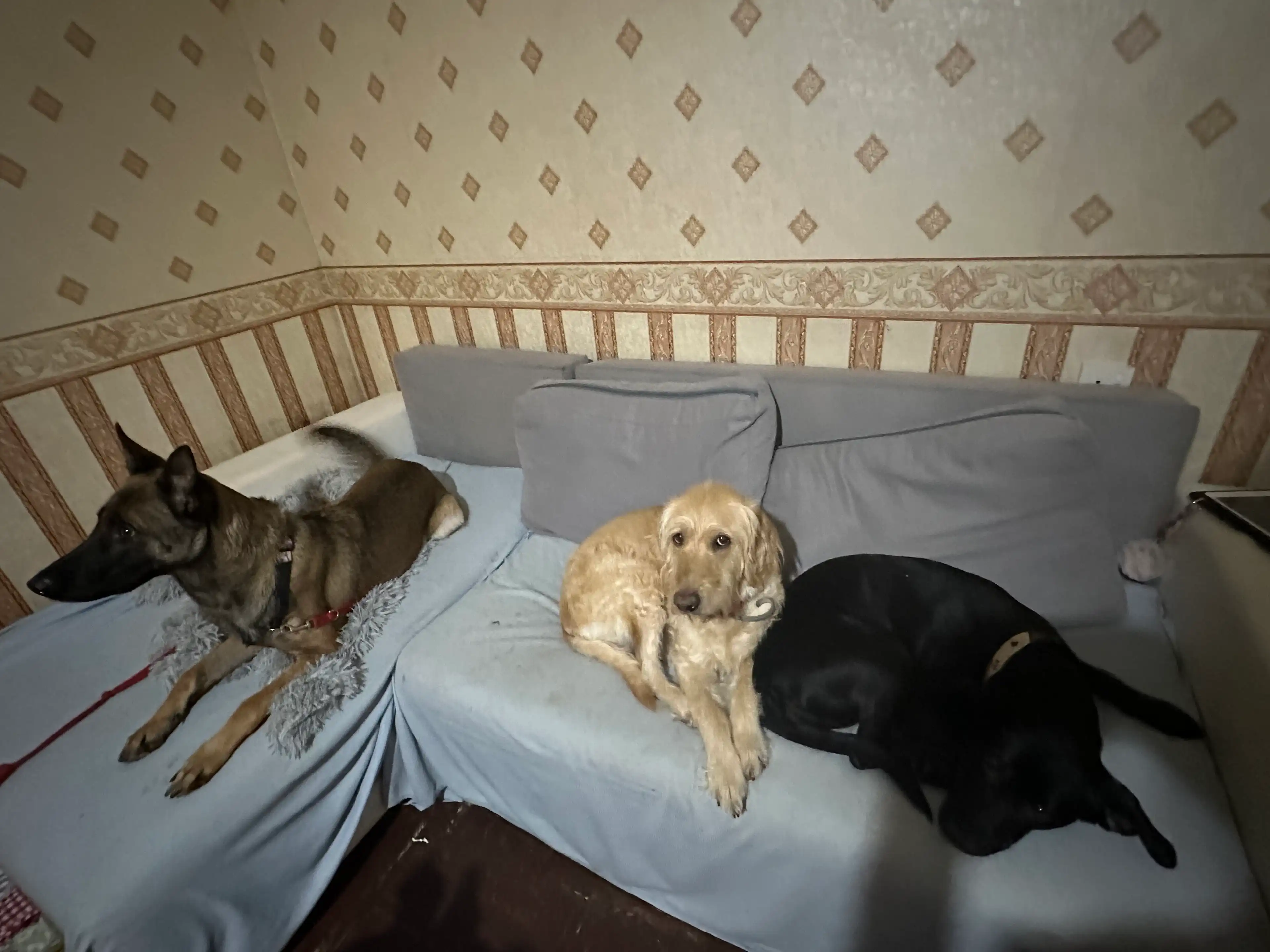 image-24