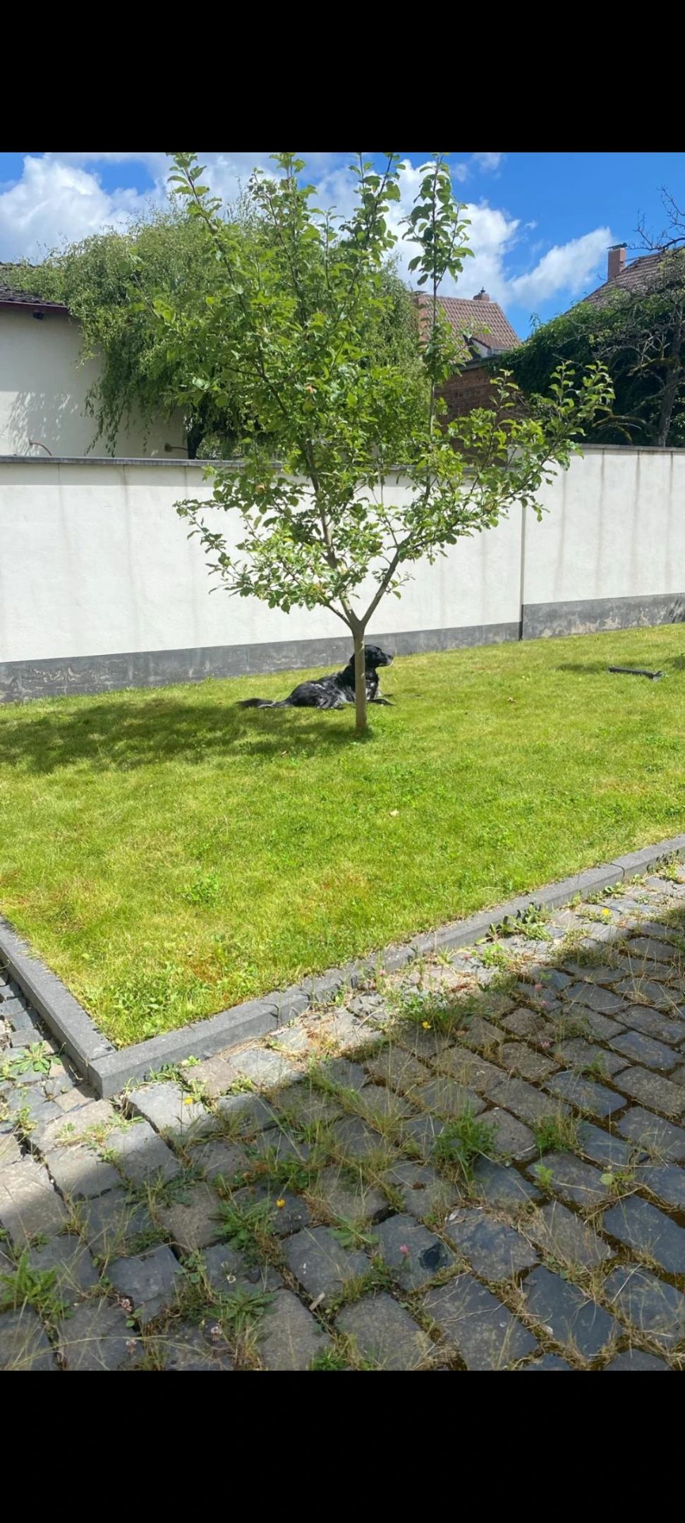 image-18