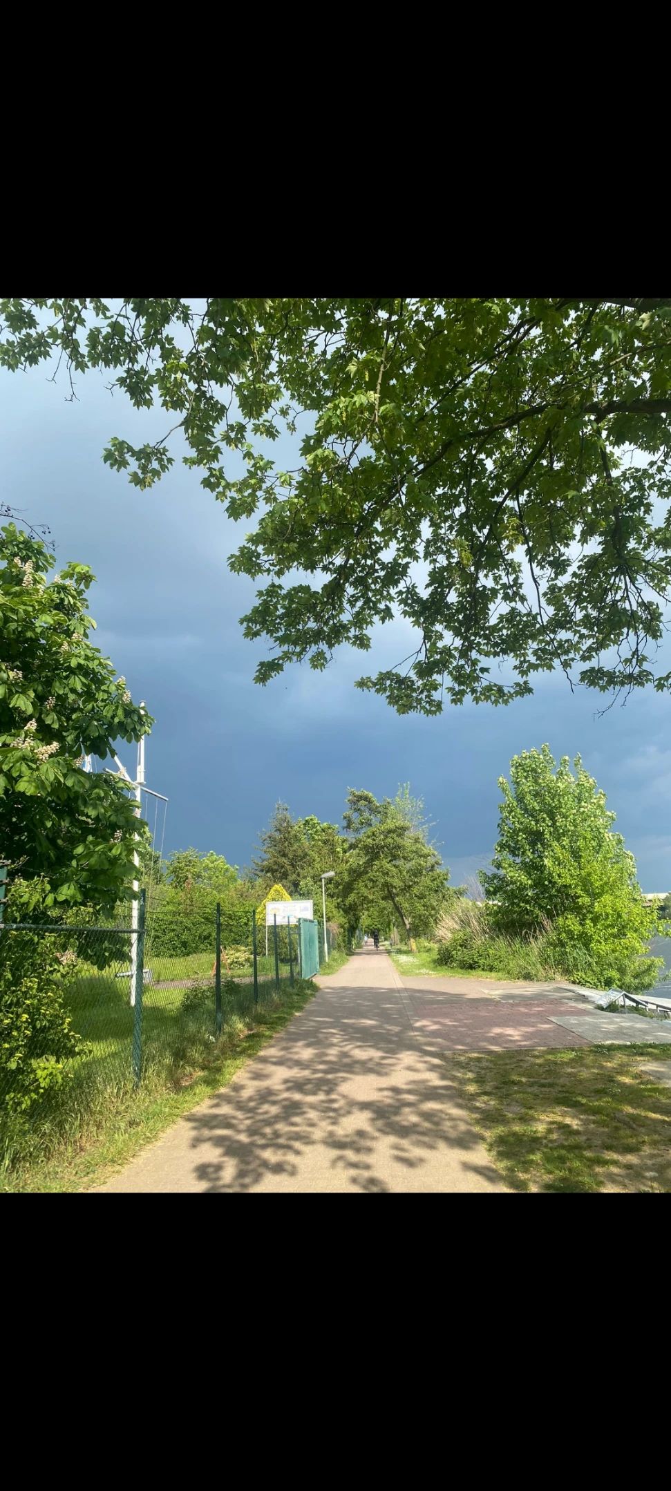 image-20