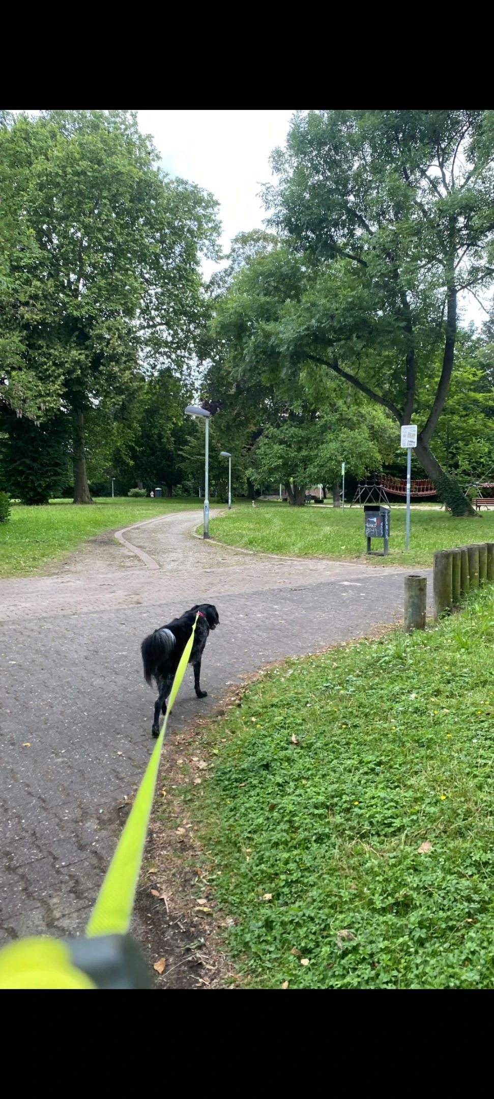 image-19