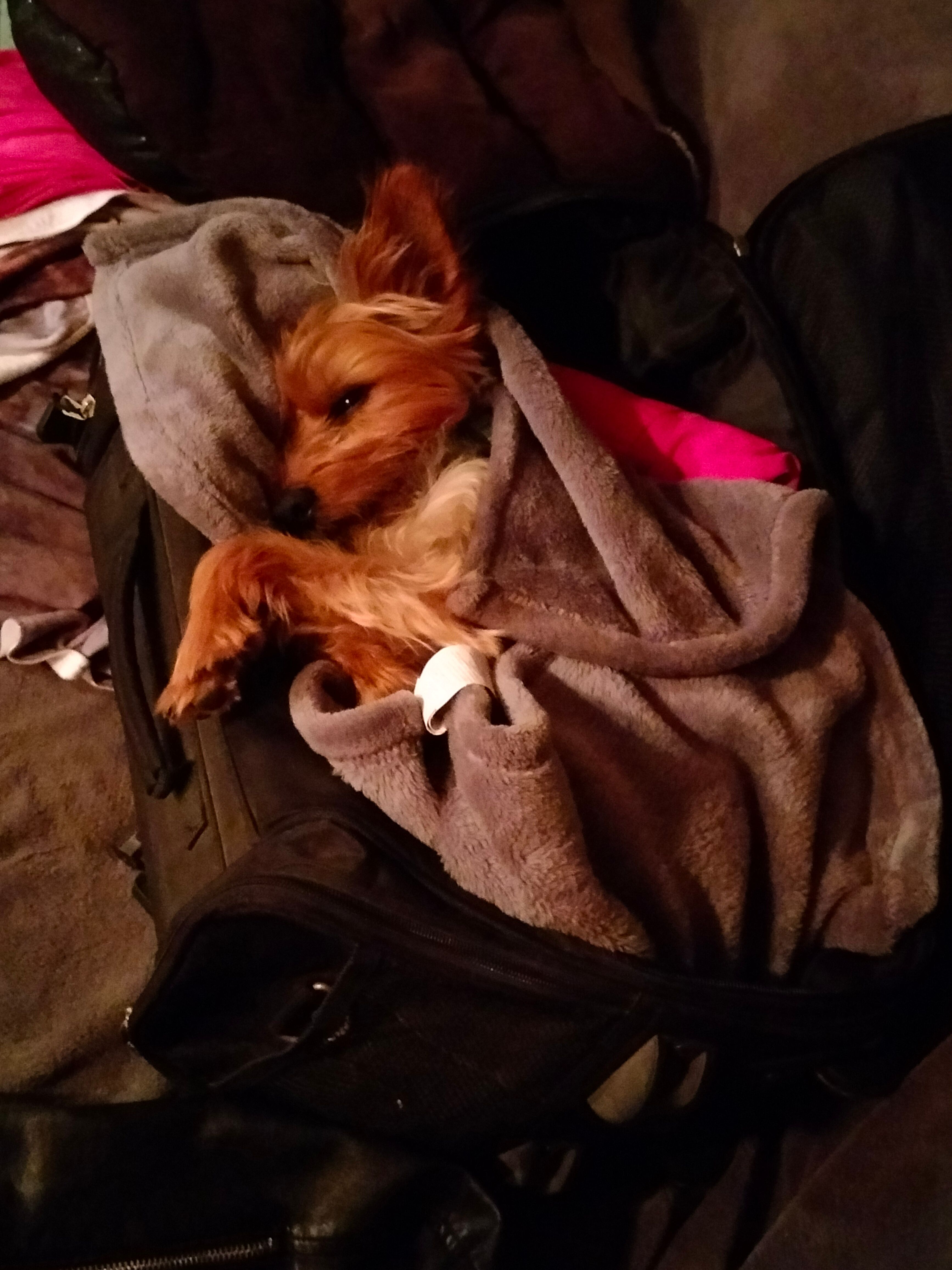 image-7
