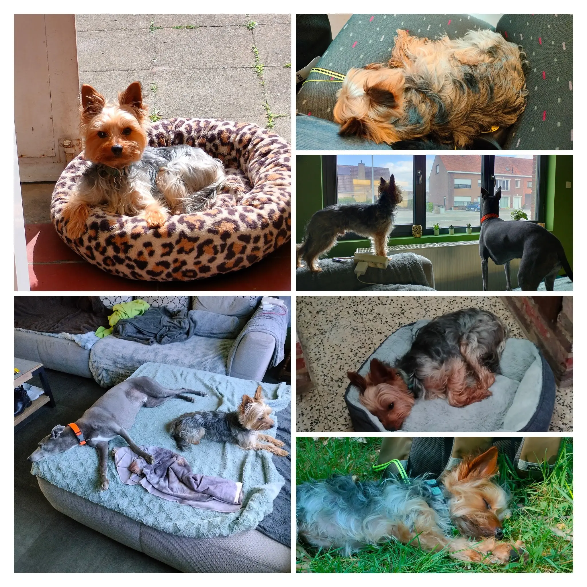 image-4