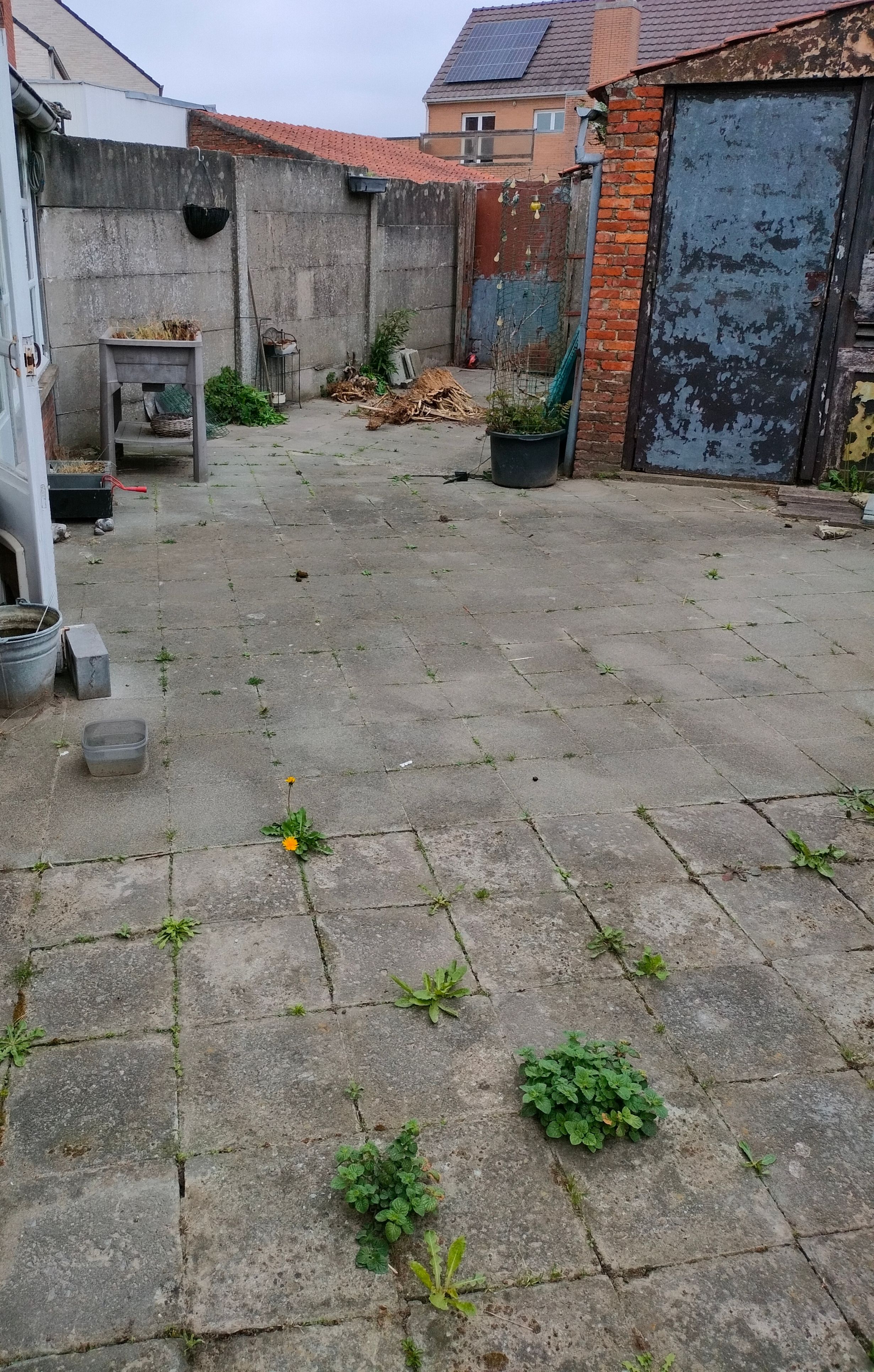 image-20