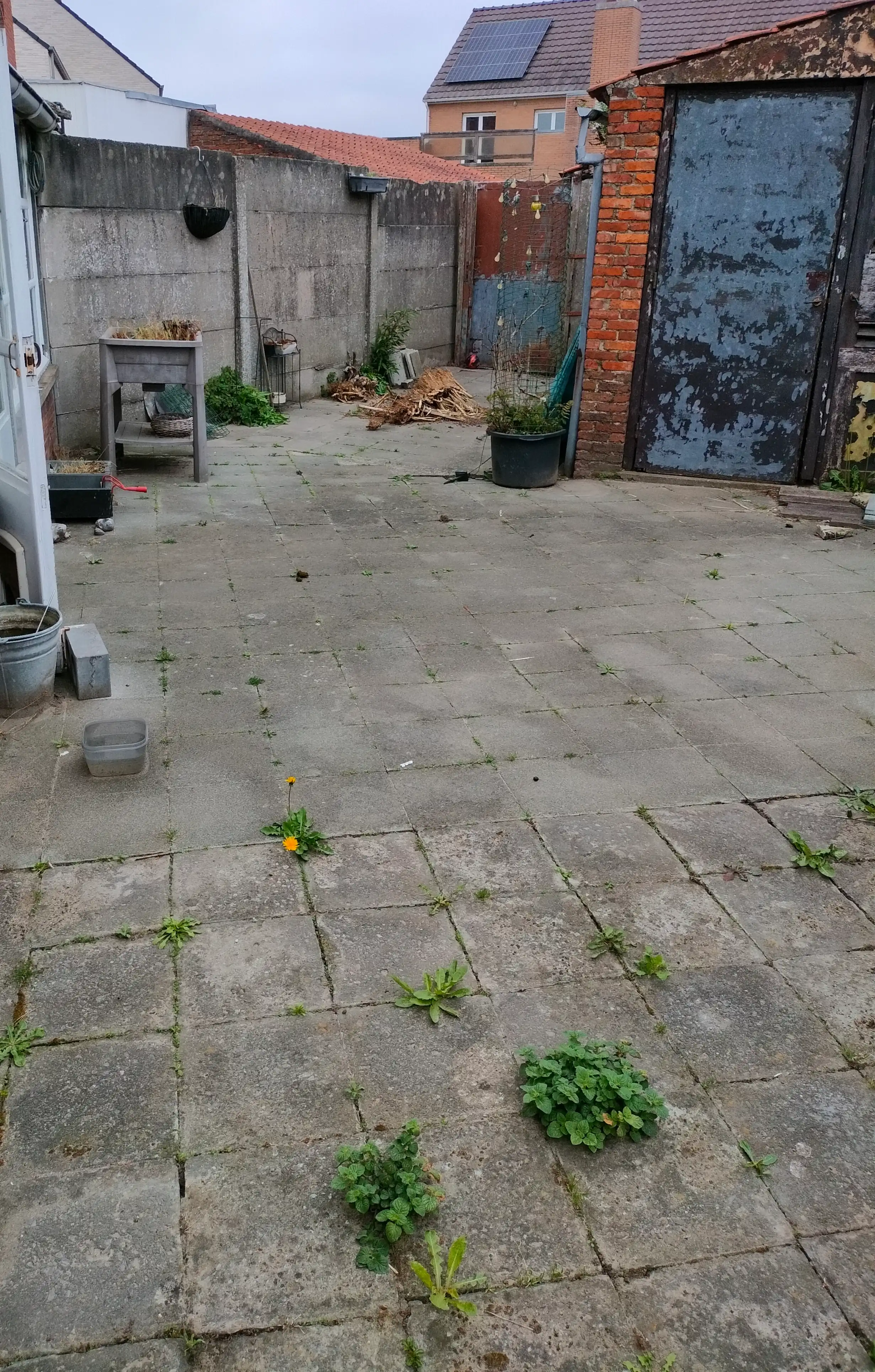 image-20