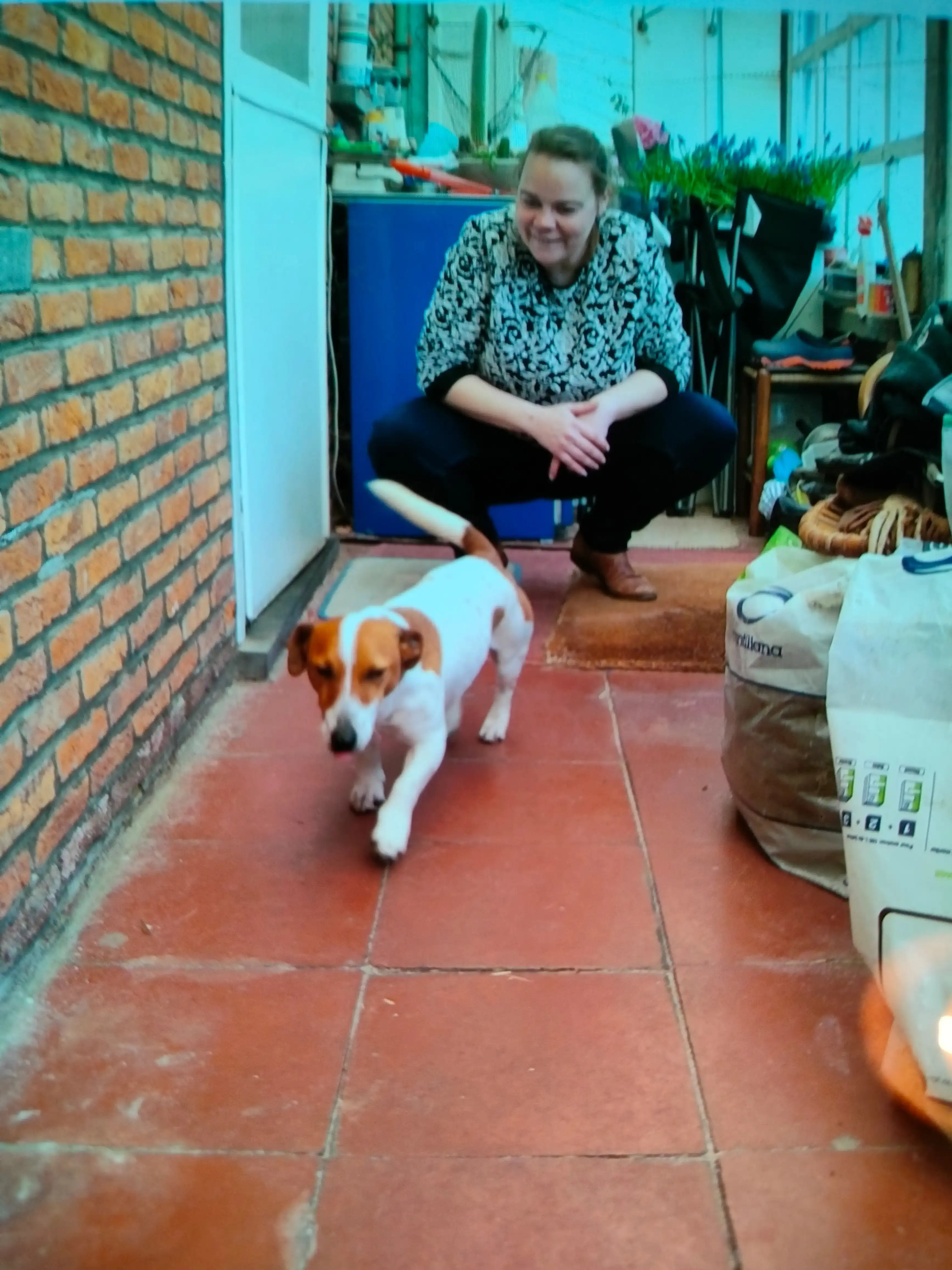 image-5