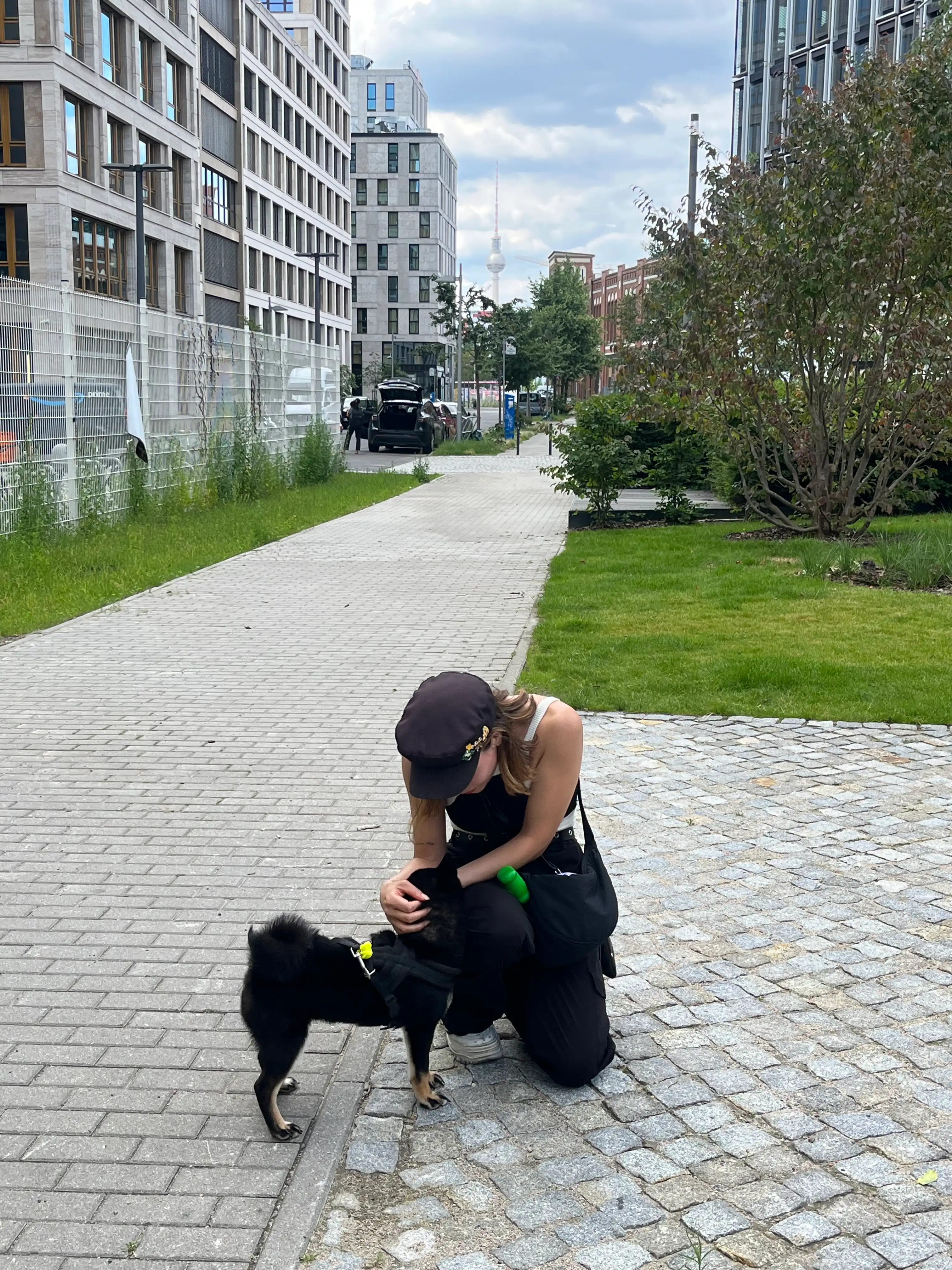 image-7