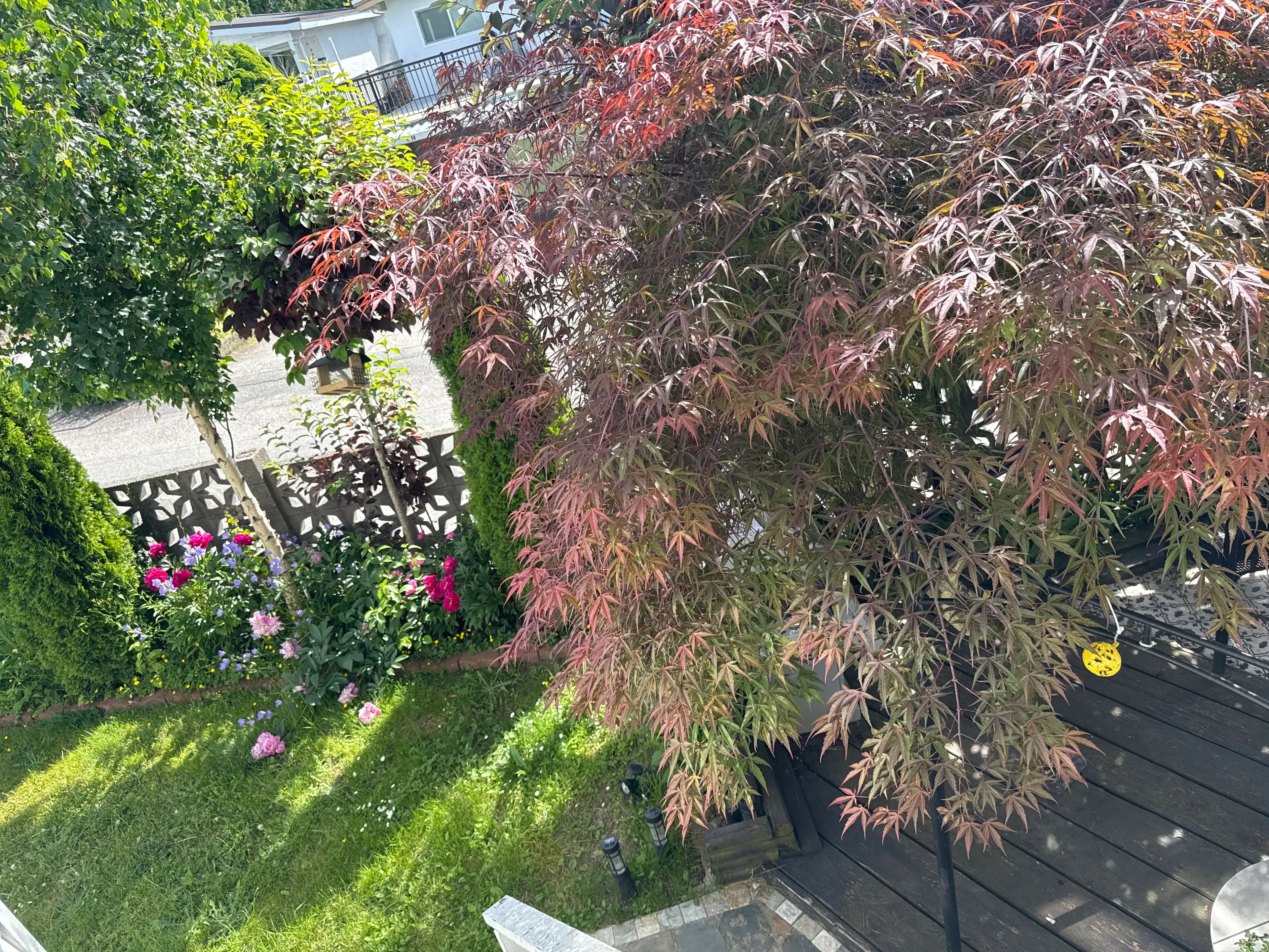 image-16