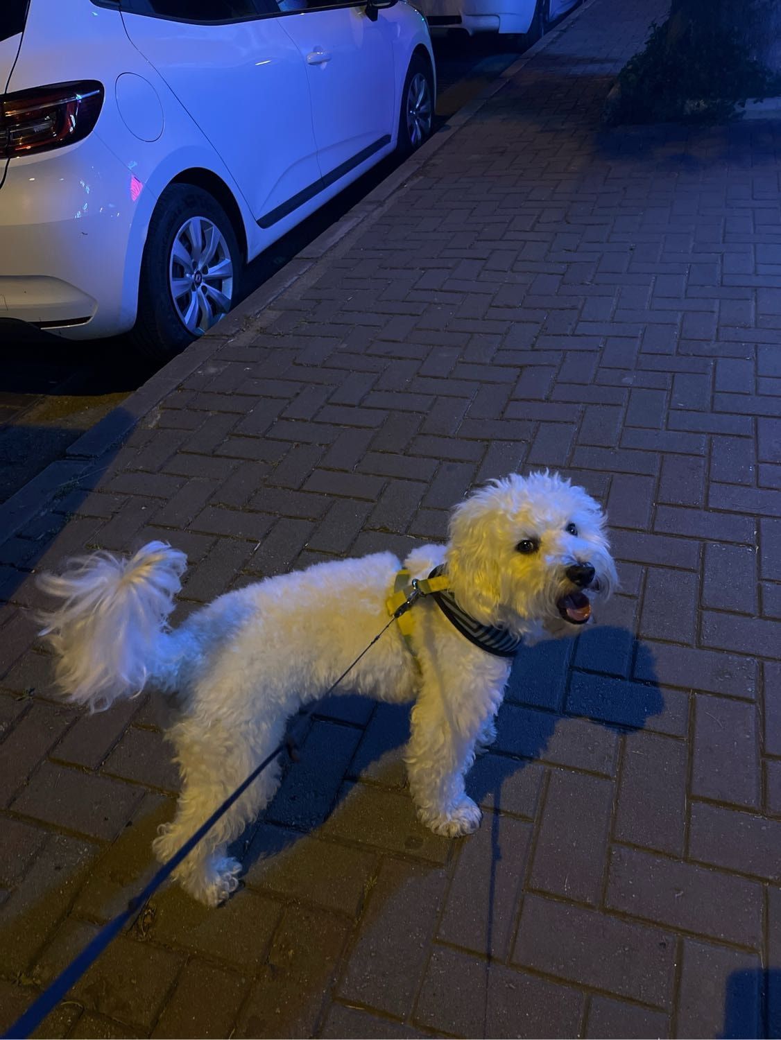 image-8