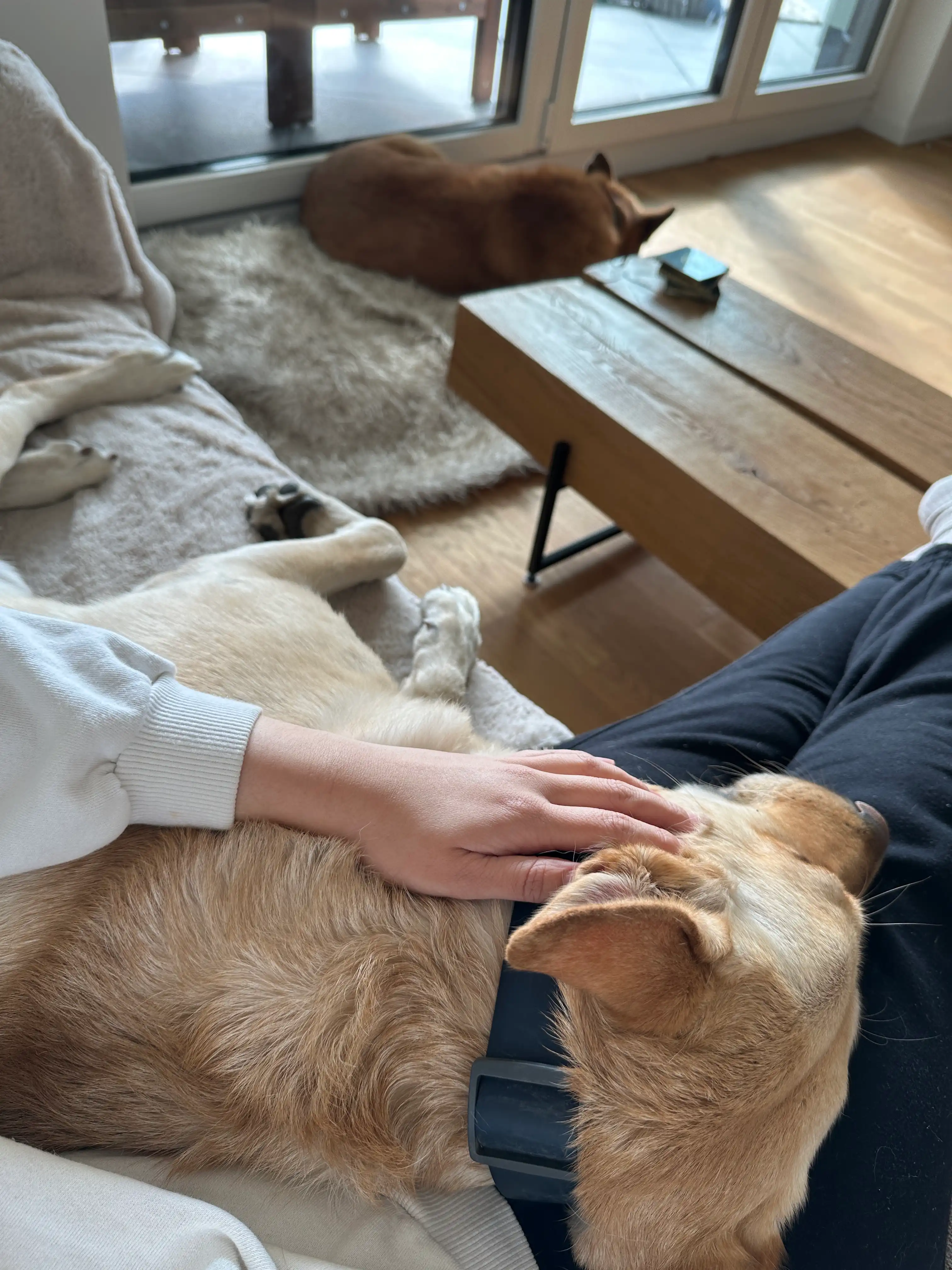 image-8